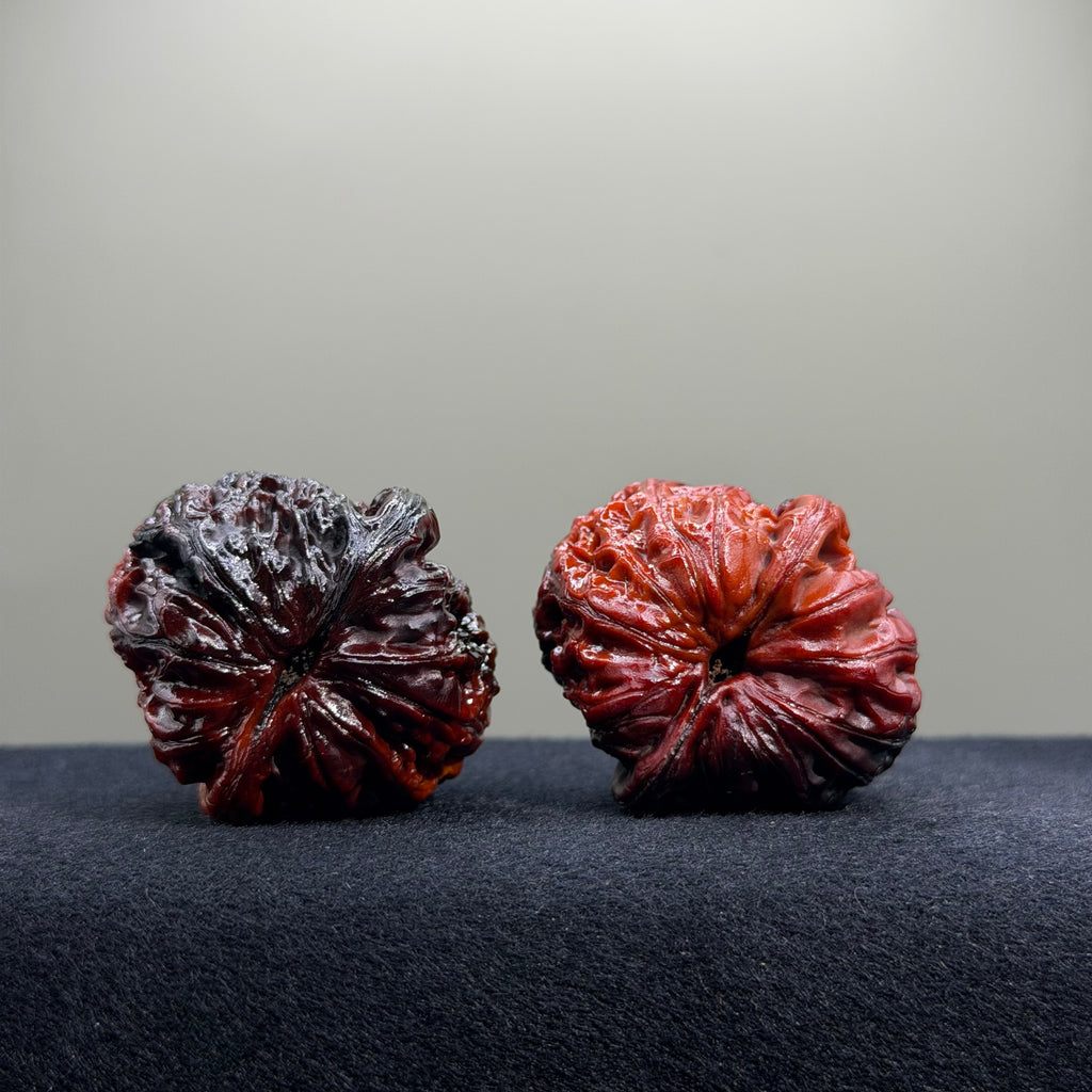 Ground Buried Ingot Wenwan Walnut · 38mm · Select Ritual