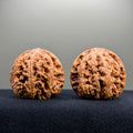 Bold Ridge Wenwan Walnut · 46mm · Select Ritual