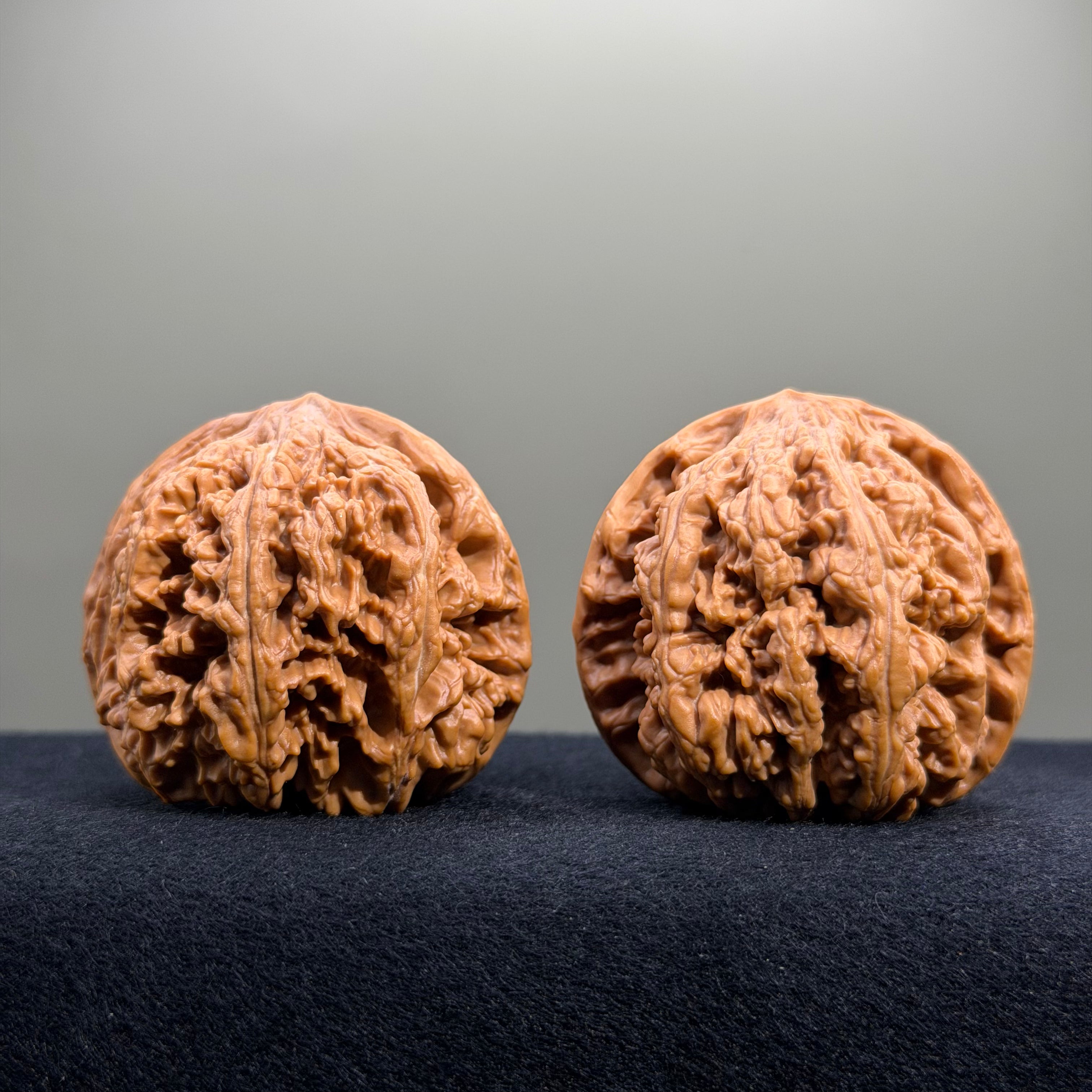 Bold Ridge Wenwan Walnut · 46mm · Select Ritual