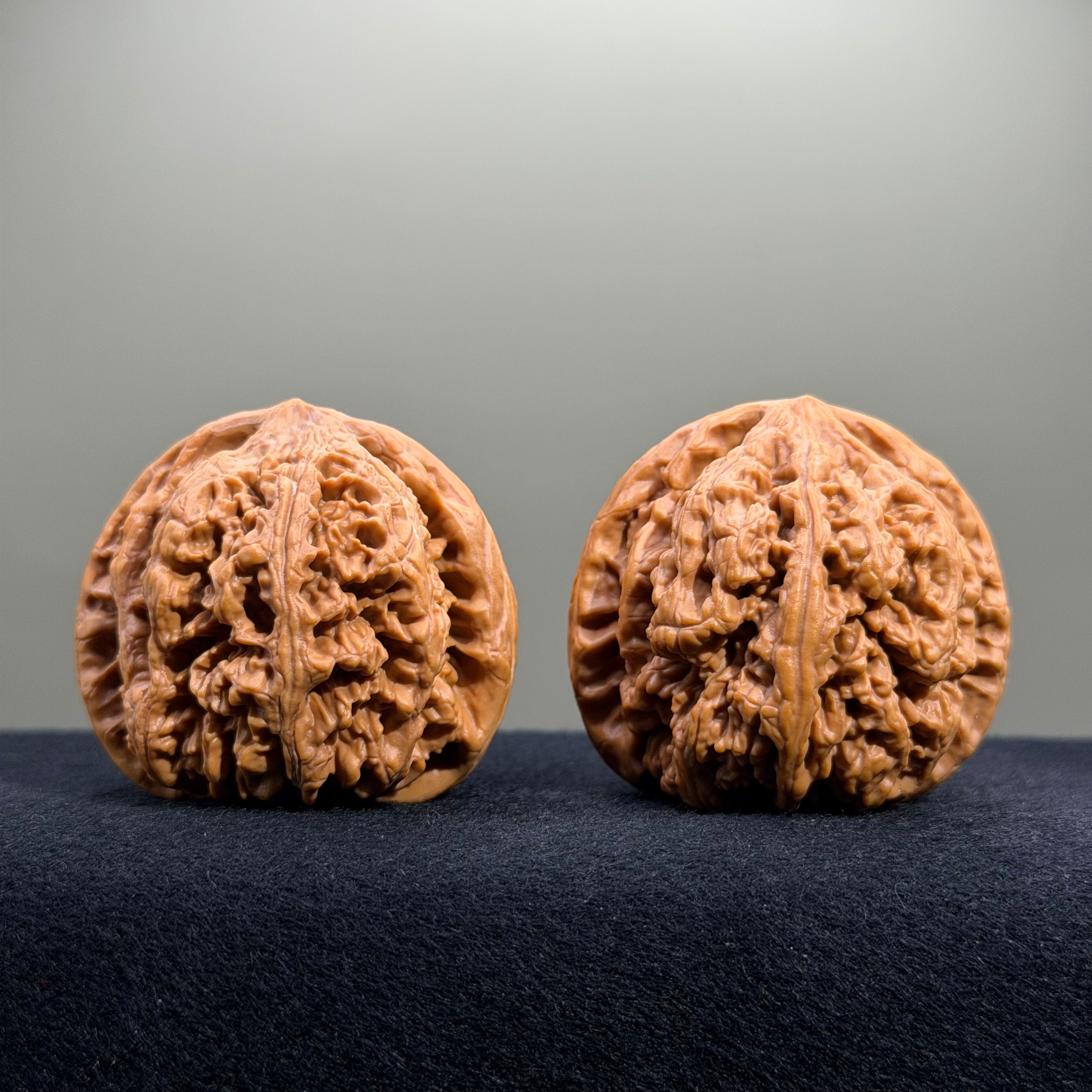 Bold Ridge Wenwan Walnut · 46mm · Select Ritual