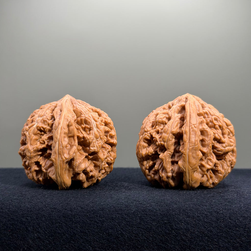 Bold Ridge Wenwan Walnut · 46mm · Select Ritual