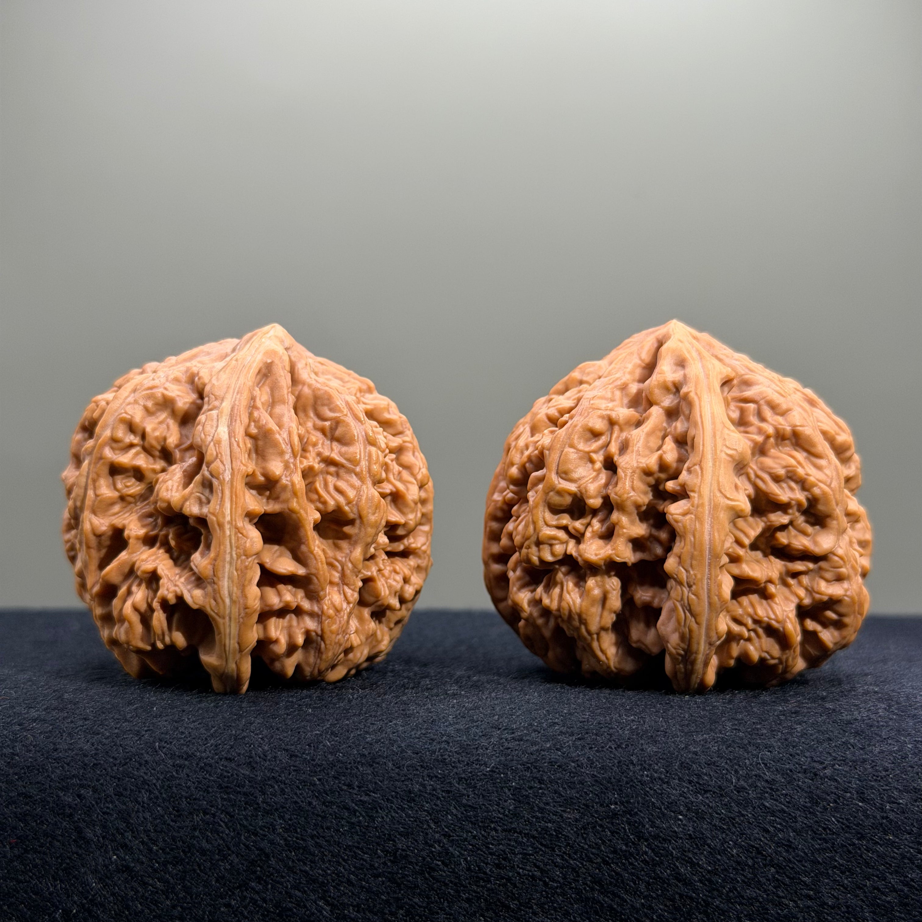 Bold Ridge Wenwan Walnut · 46mm · Select Ritual