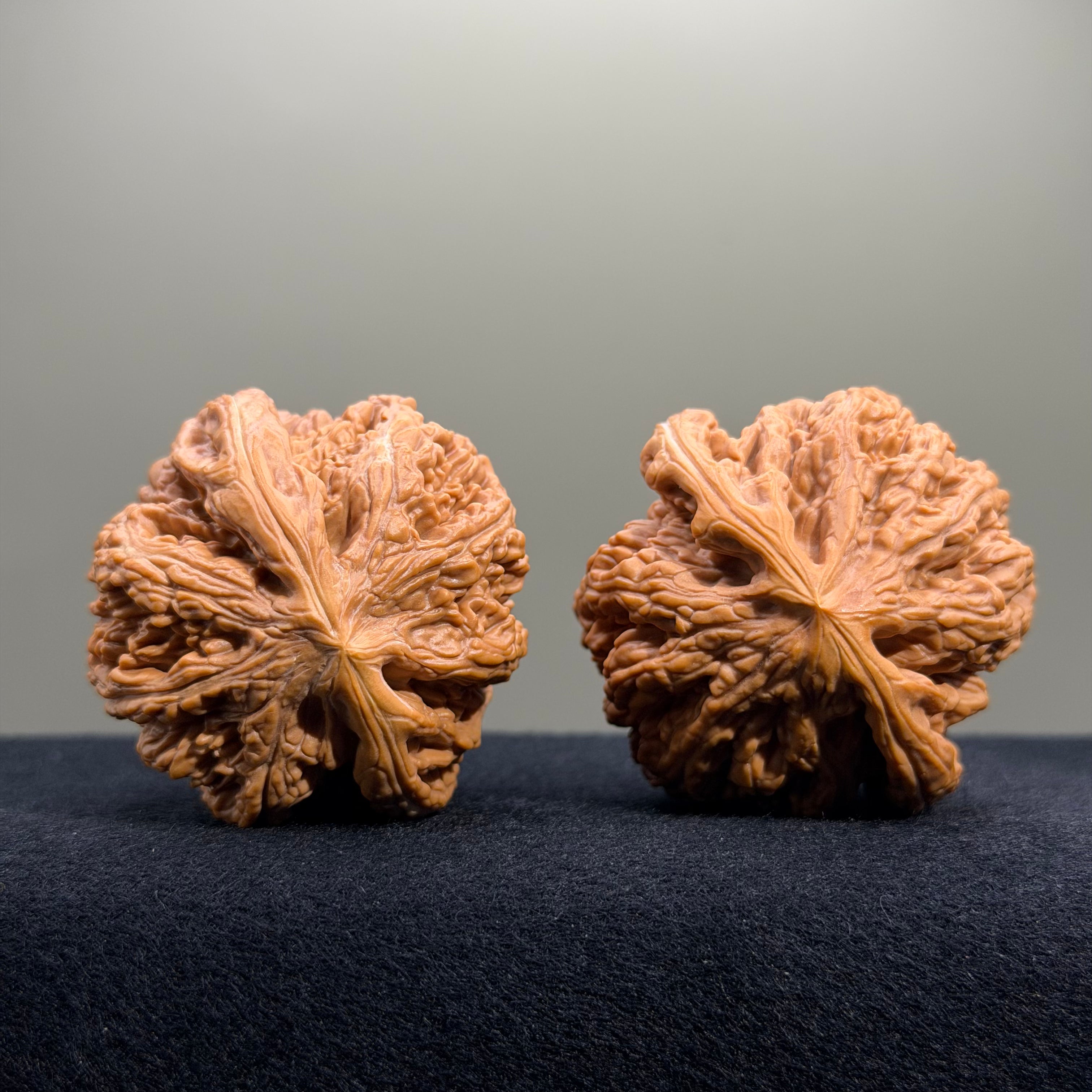 Bold Ridge Wenwan Walnut · 46mm · Select Ritual