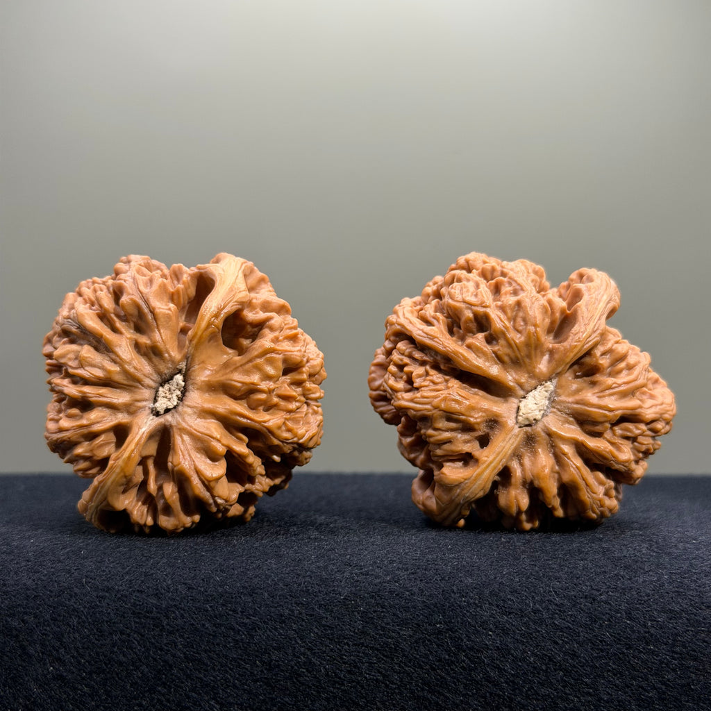 Bold Ridge Wenwan Walnut · 46mm · Select Ritual