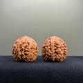 Ant Valley Wenwan Walnut · 34mm · Select Ritual