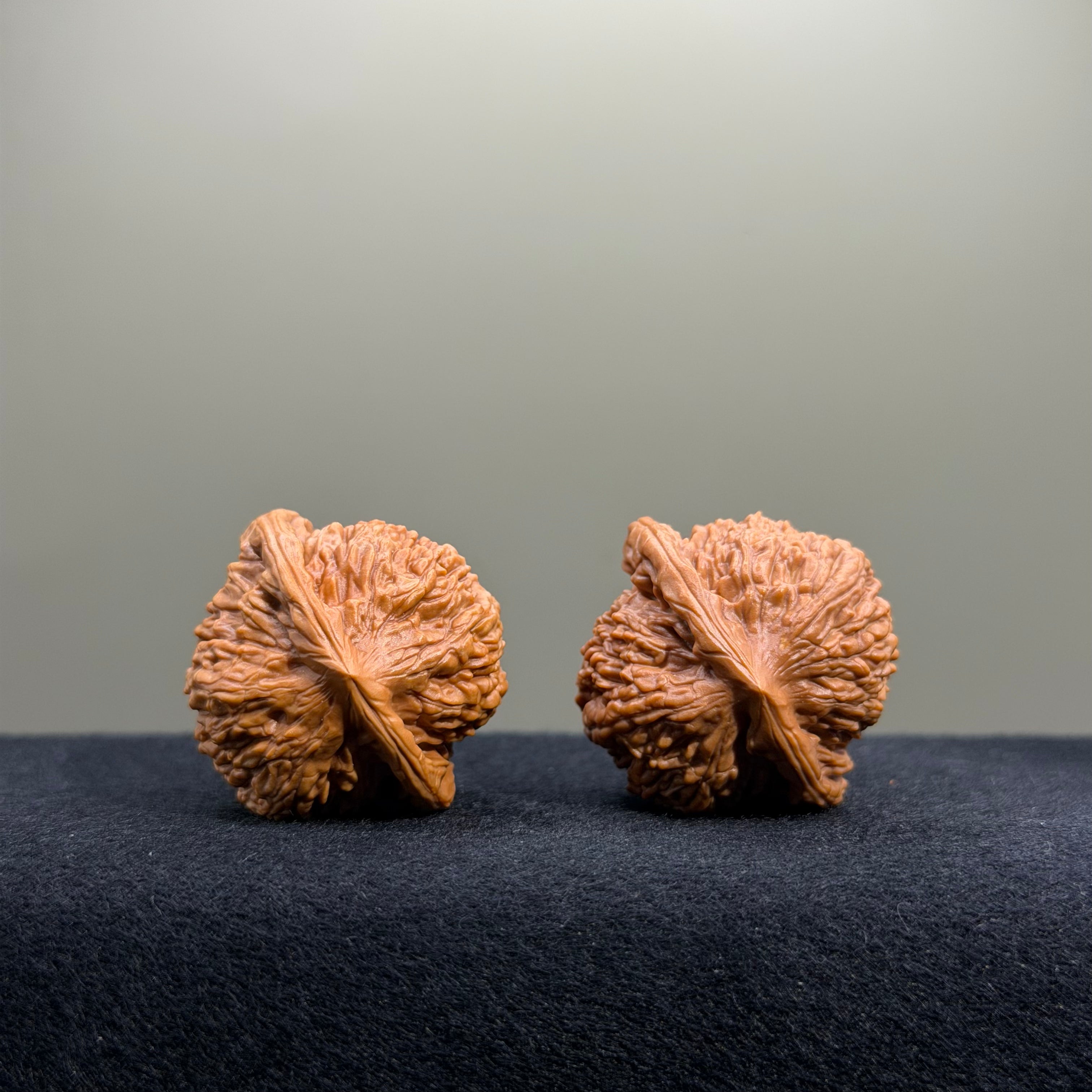 Ant Valley Wenwan Walnut · 34mm · Select Ritual