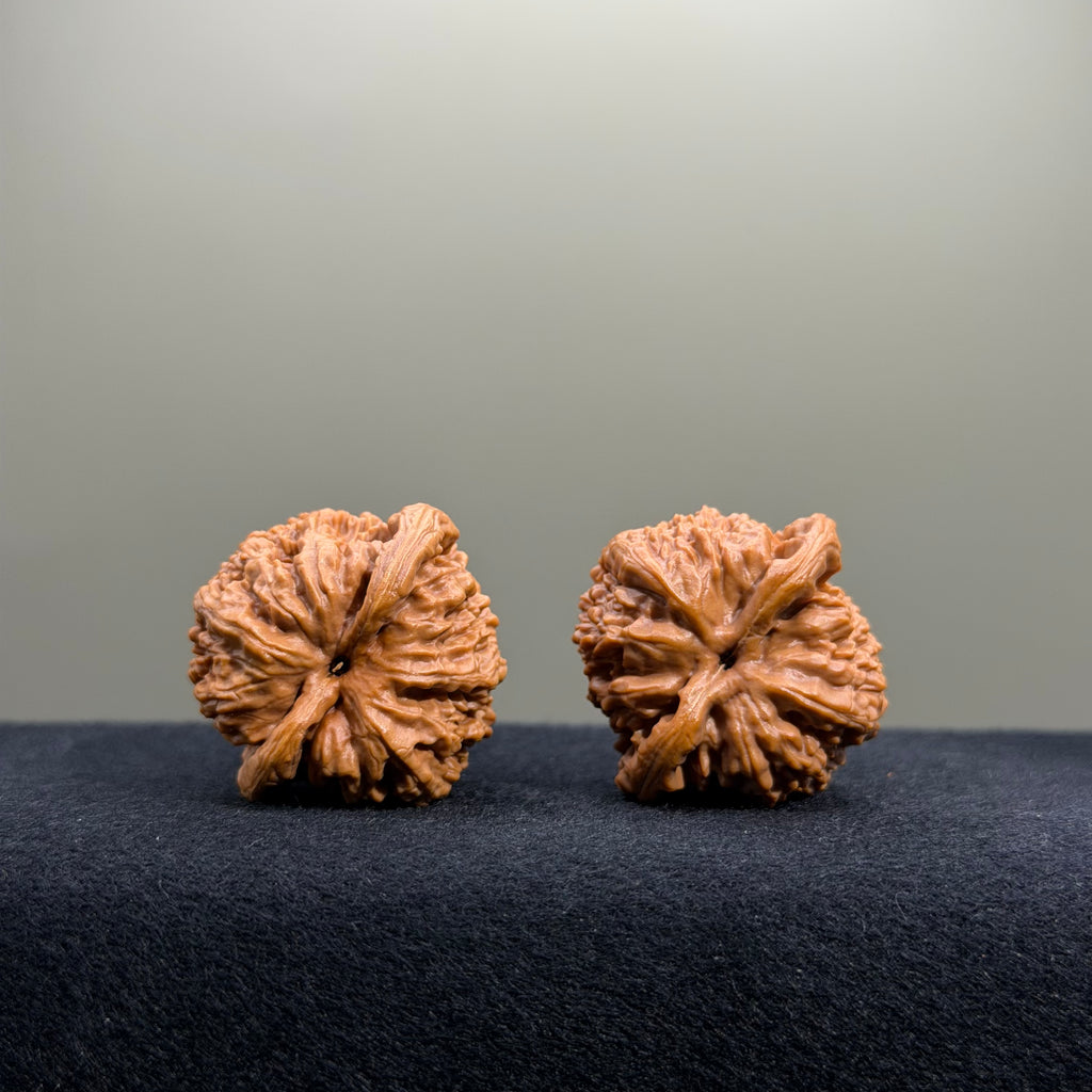 Ant Valley Wenwan Walnut · 34mm · Select Ritual