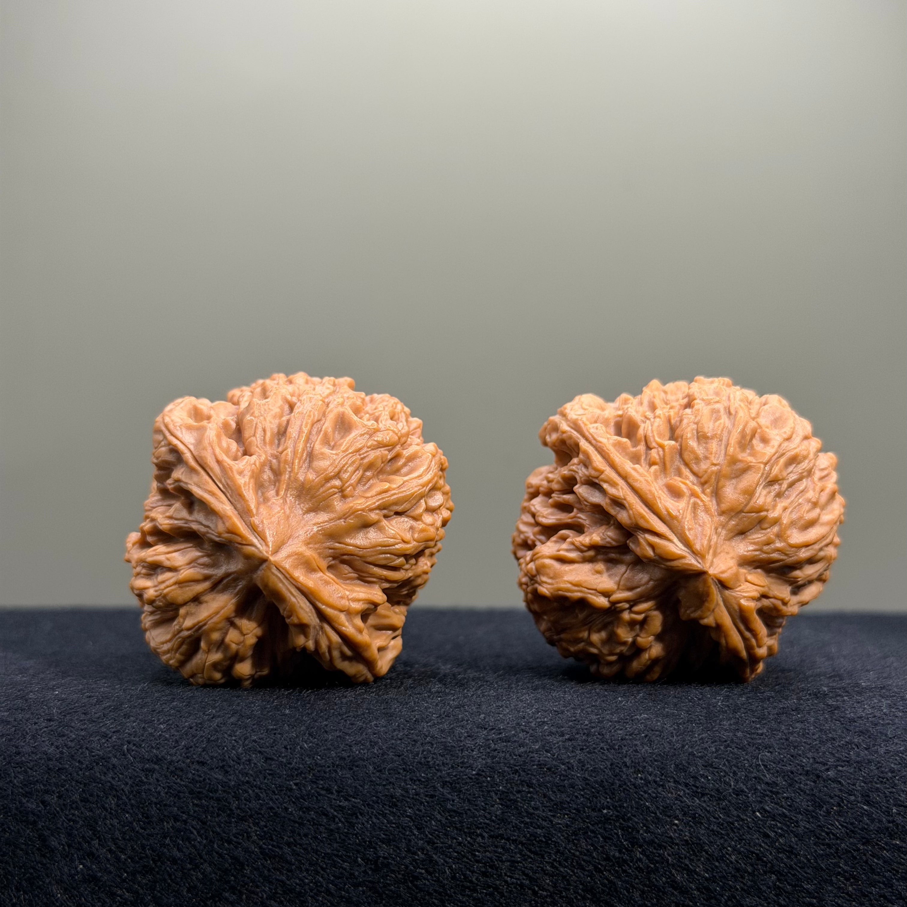Nanjiang Stone Wenwan Walnut · 39mm · Select Ritual