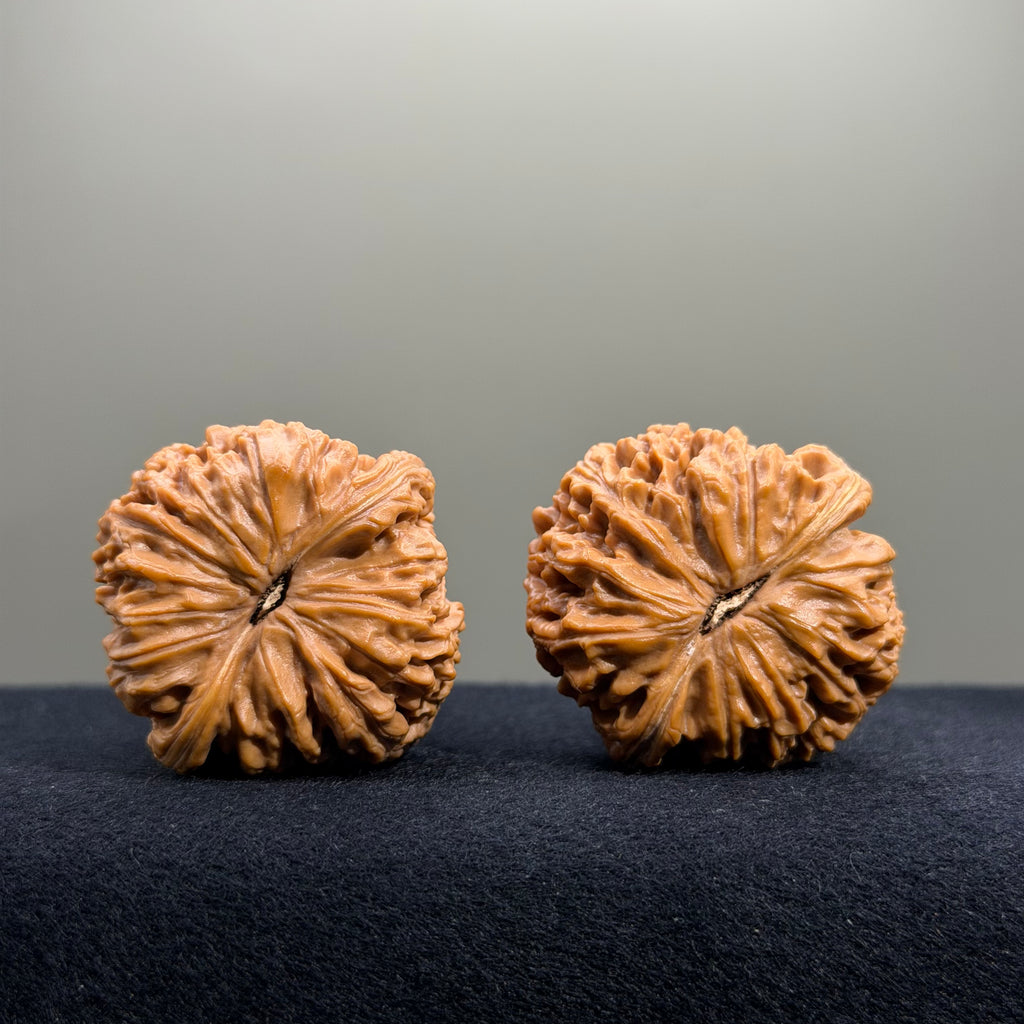 Nanjiang Stone Wenwan Walnut · 39mm · Select Ritual