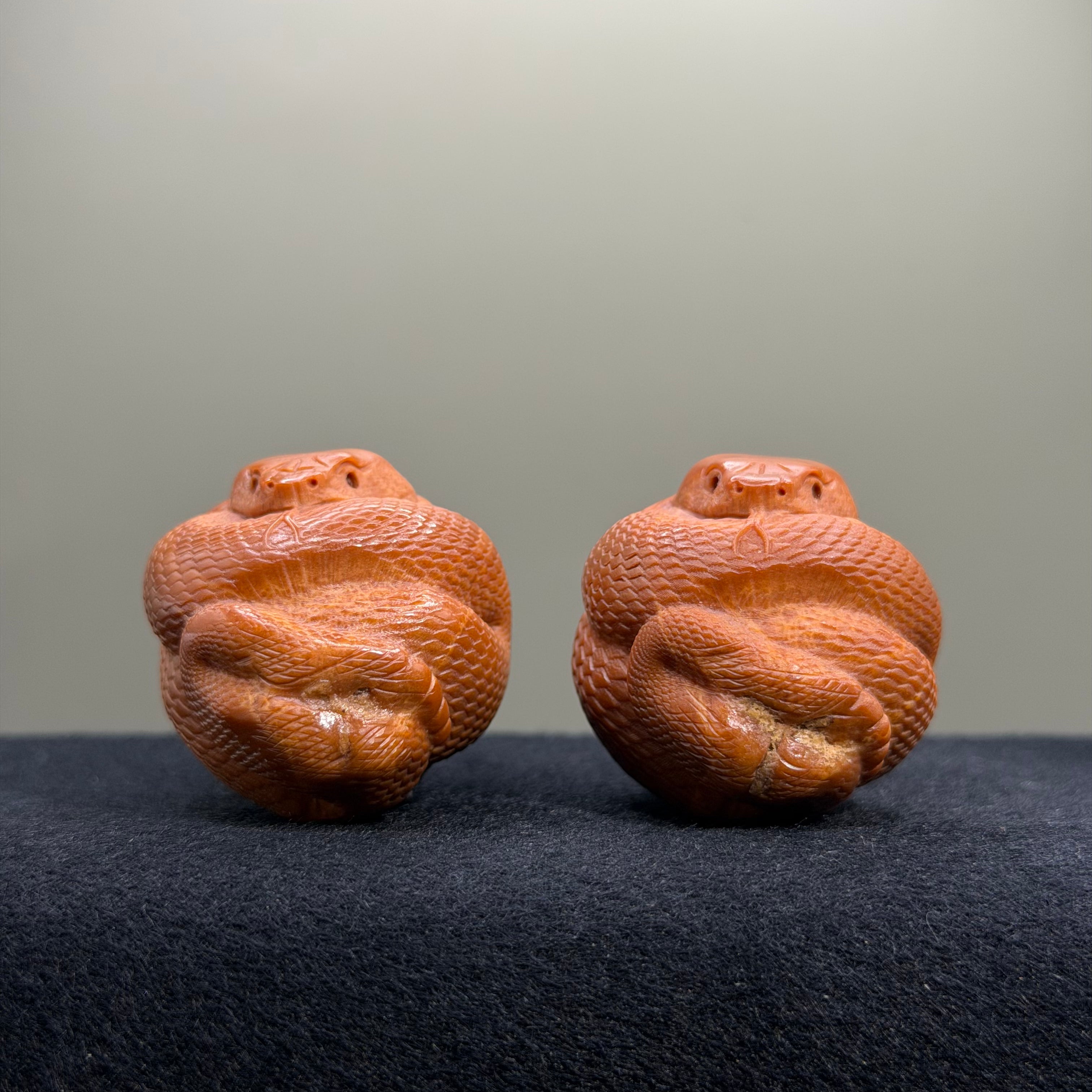 Python Snake Olive Pit Carving · 46mm · Select Ritual