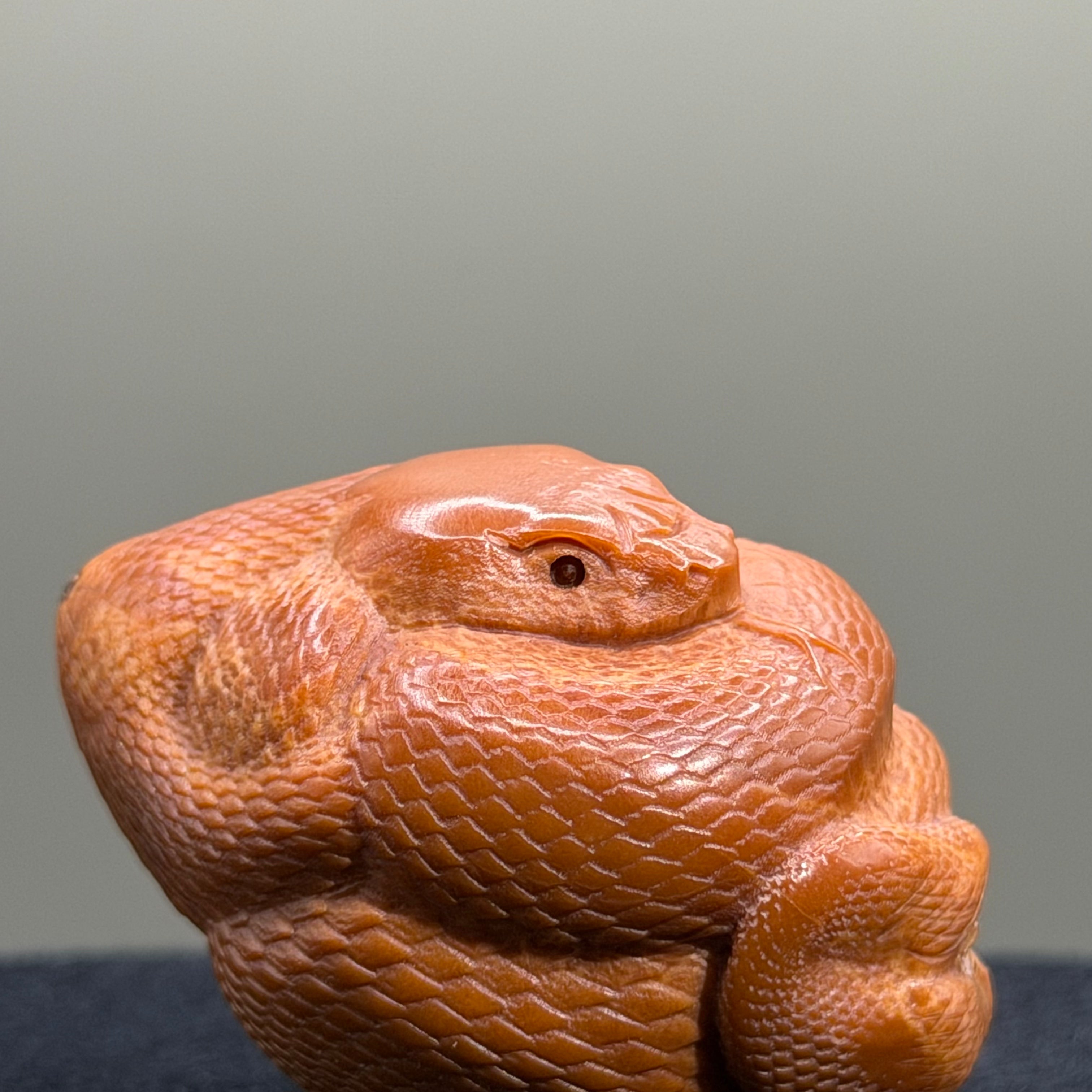 Python Snake Olive Pit Carving · 46mm · Select Ritual