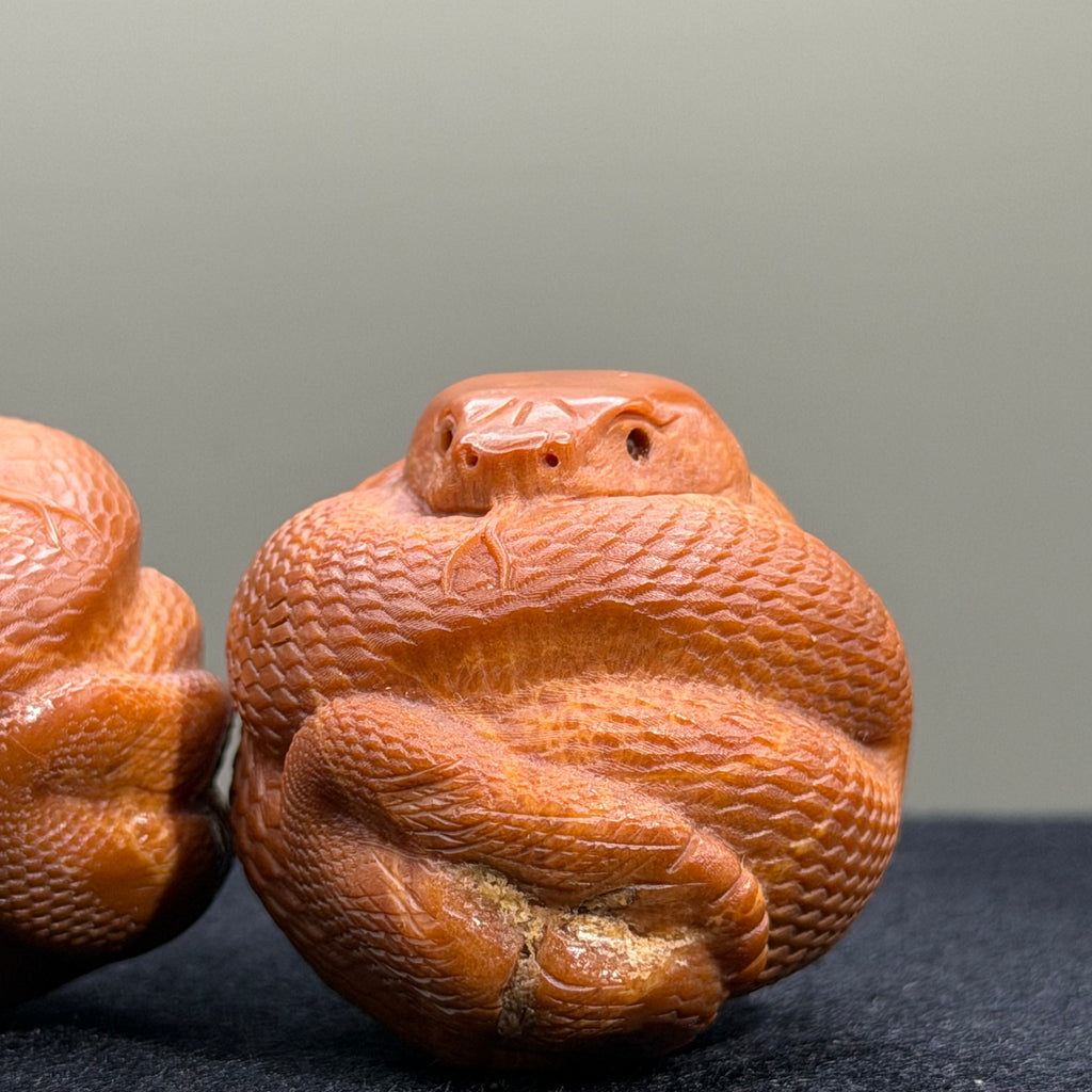 Python Snake Olive Pit Carving · 46mm · Select Ritual