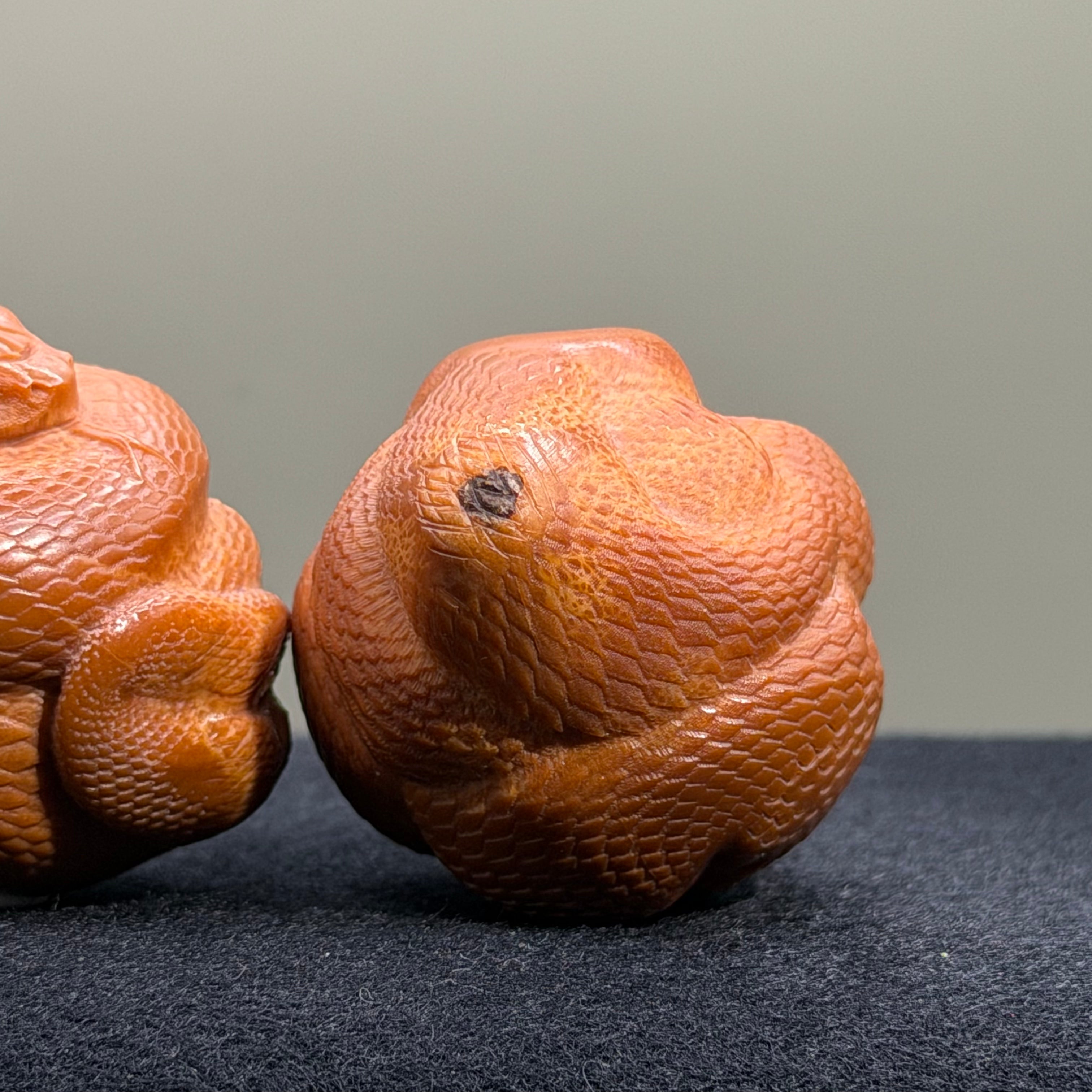 Python Snake Olive Pit Carving · 46mm · Select Ritual