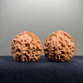 Highborn Wenwan Walnut · 42mm · Natural · Select Ritual