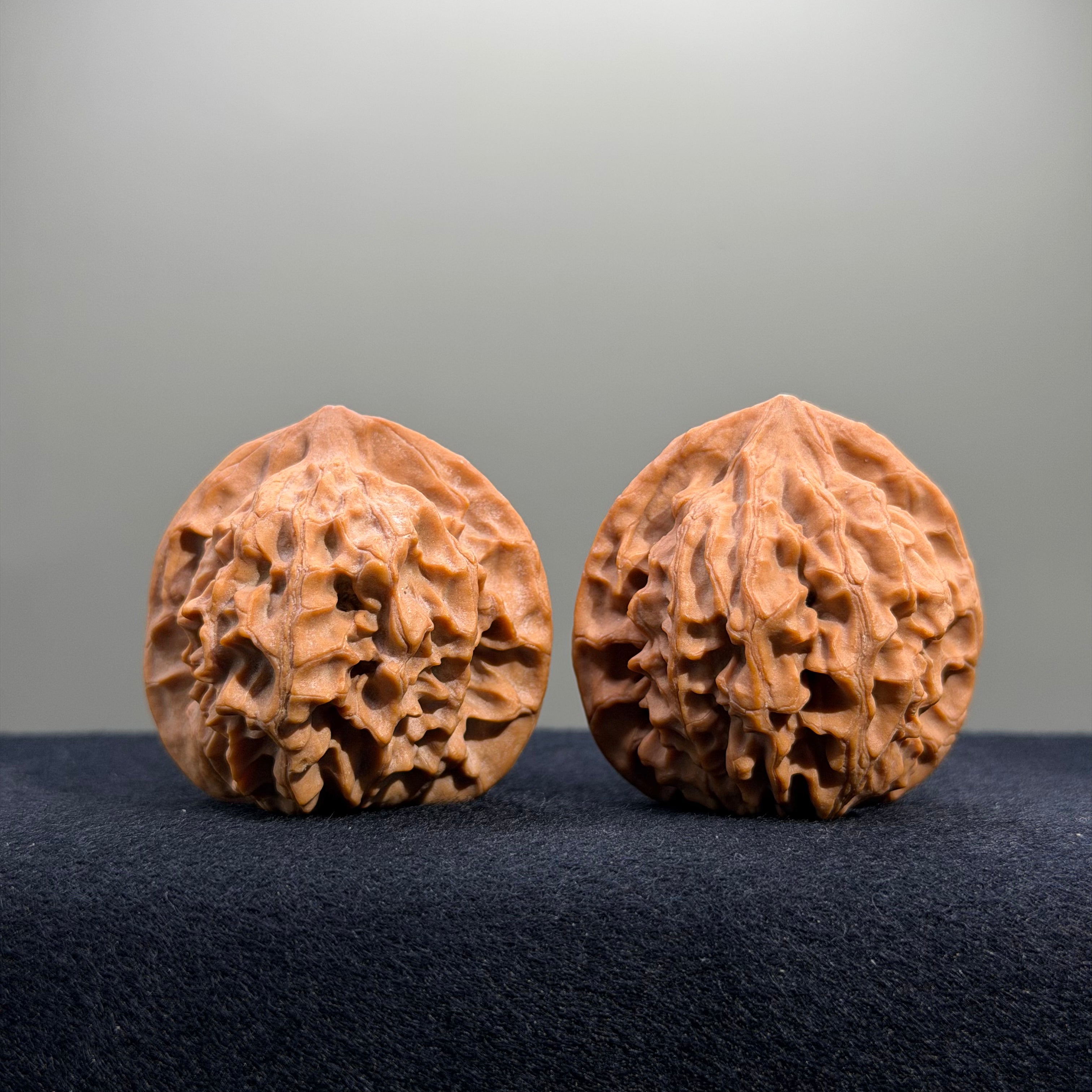 Highborn Wenwan Walnut · 42mm · Natural · Select Ritual