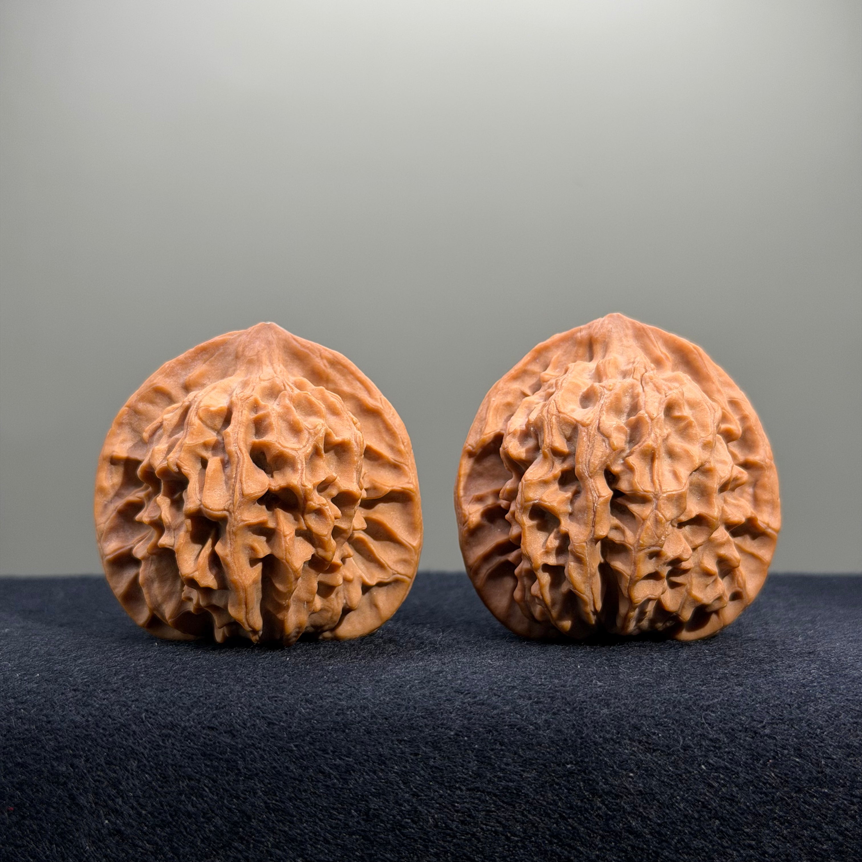 Highborn Wenwan Walnut · 42mm · Natural · Select Ritual