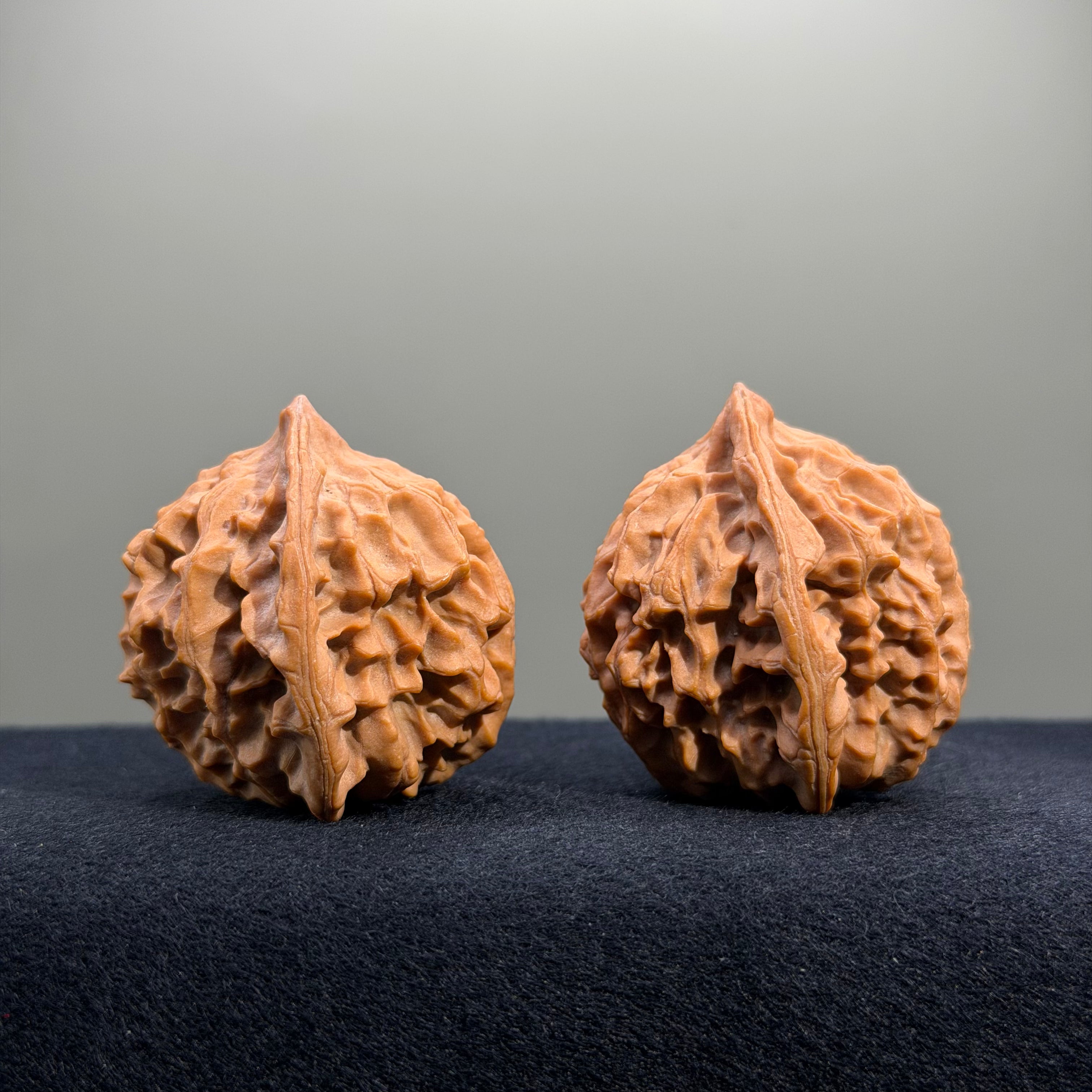 Highborn Wenwan Walnut · 42mm · Natural · Select Ritual