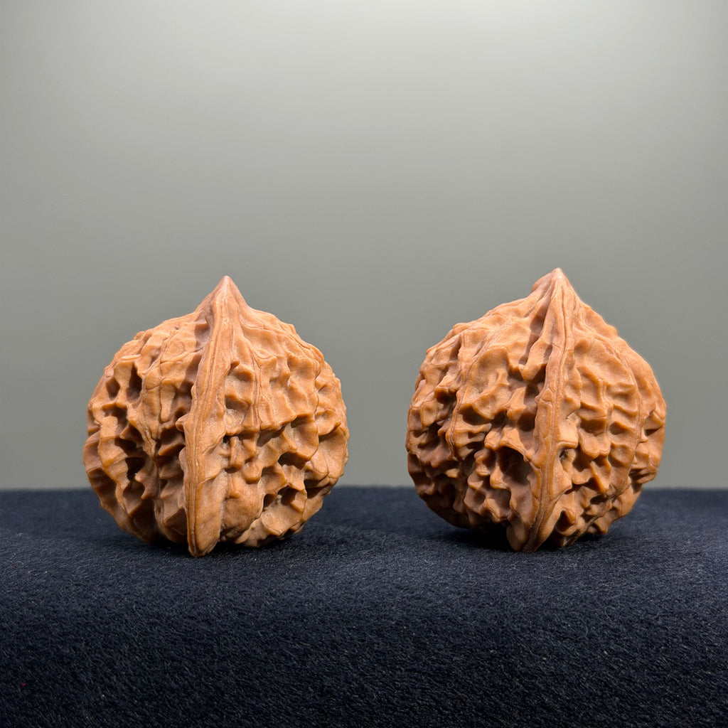 Highborn Wenwan Walnut · 42mm · Natural · Select Ritual