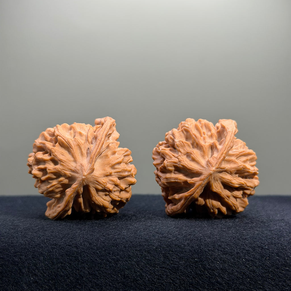 Highborn Wenwan Walnut · 42mm · Natural · Select Ritual