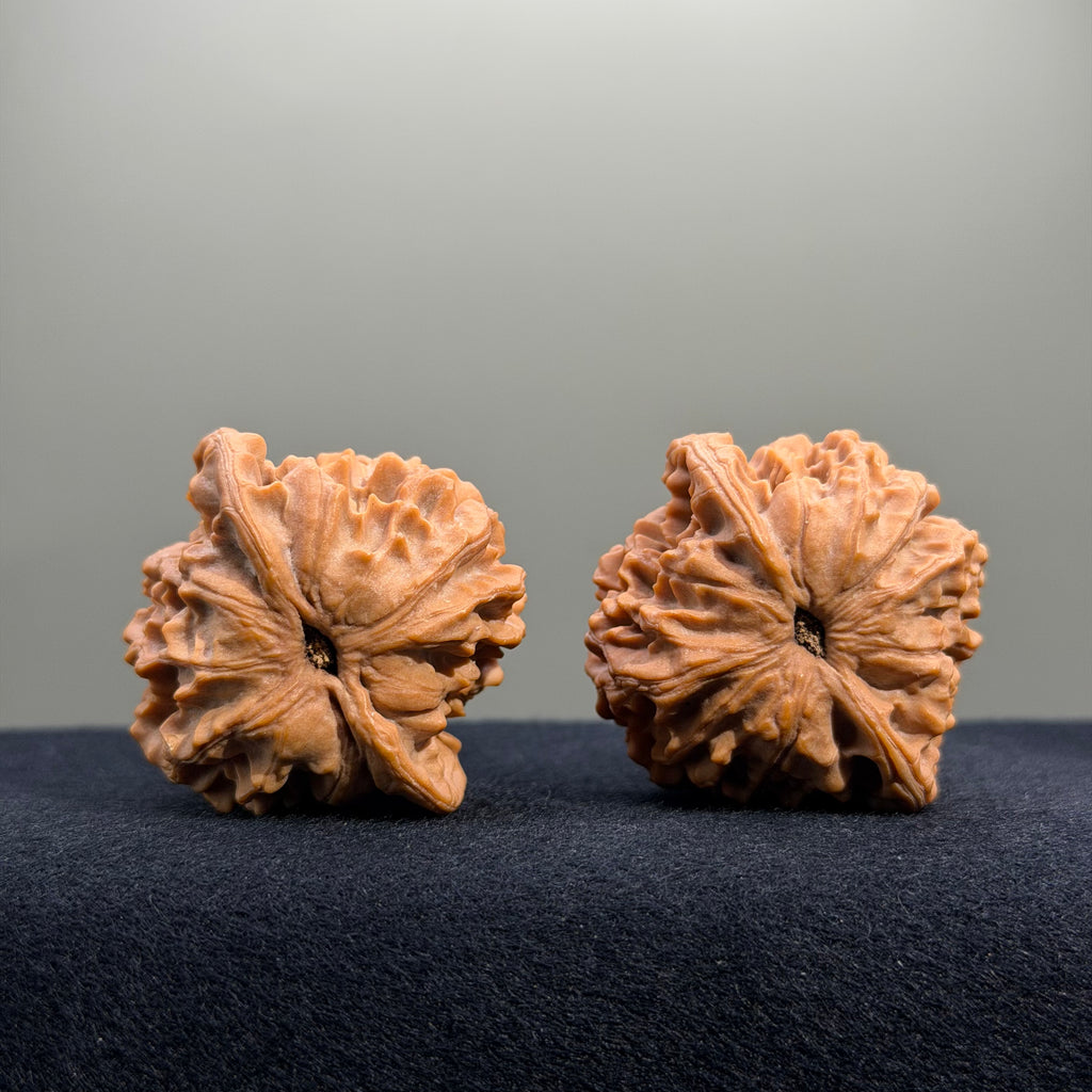Highborn Wenwan Walnut · 42mm · Natural · Select Ritual