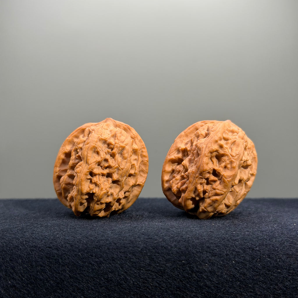 Surfboard Wenwan Walnut · 33mm · Natural · Select Ritual