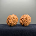 Surfboard Wenwan Walnut · 33mm · Natural · Select Ritual