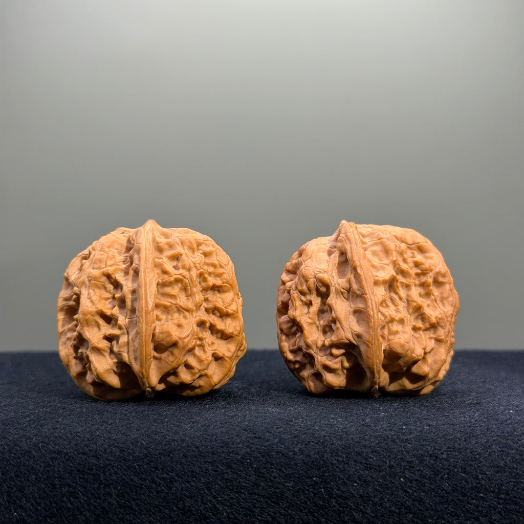 Surfboard Wenwan Walnut · 33mm · Natural · Select Ritual