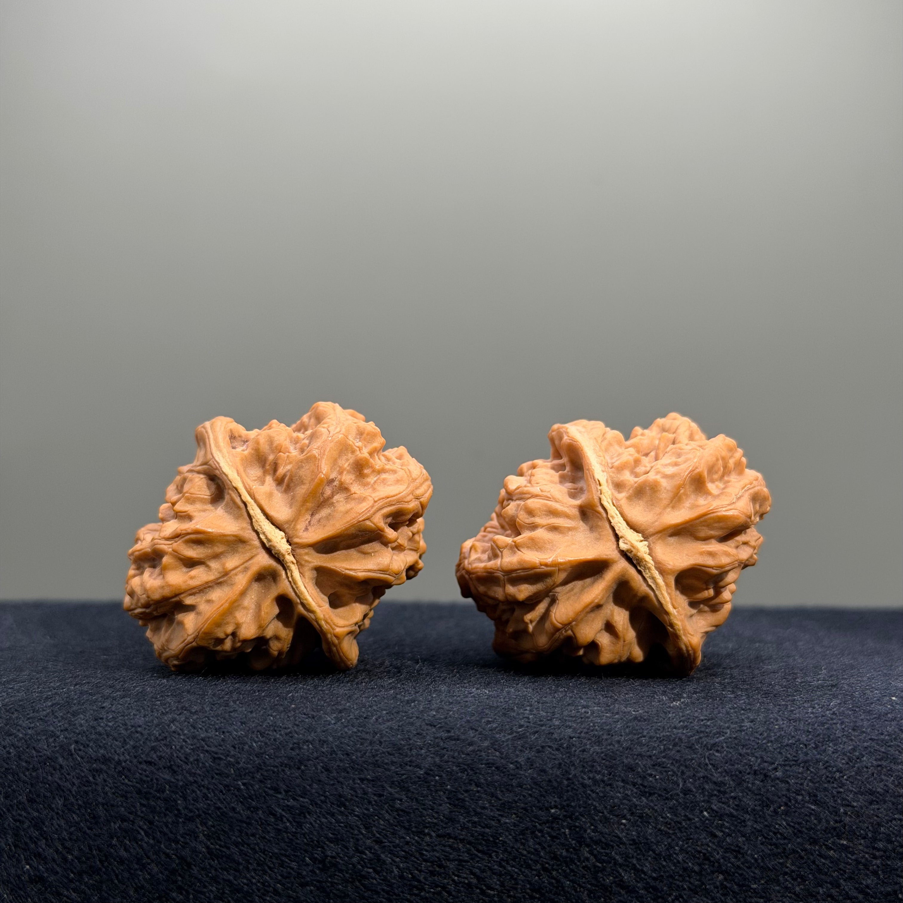Surfboard Wenwan Walnut · 33mm · Natural · Select Ritual