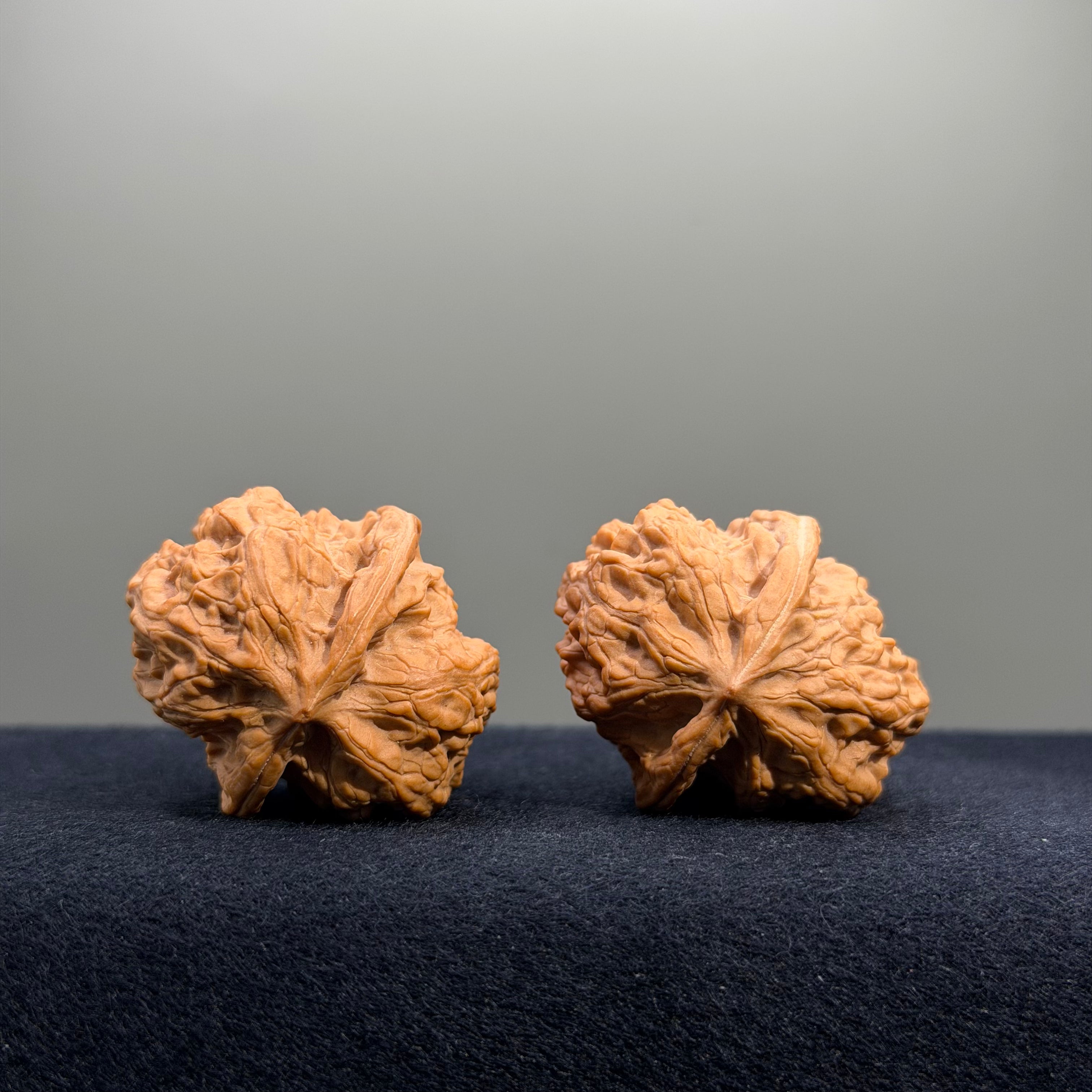 Surfboard Wenwan Walnut · 33mm · Natural · Select Ritual