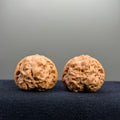 Toad Head Wenwan Walnut · 35mm · Select Ritual