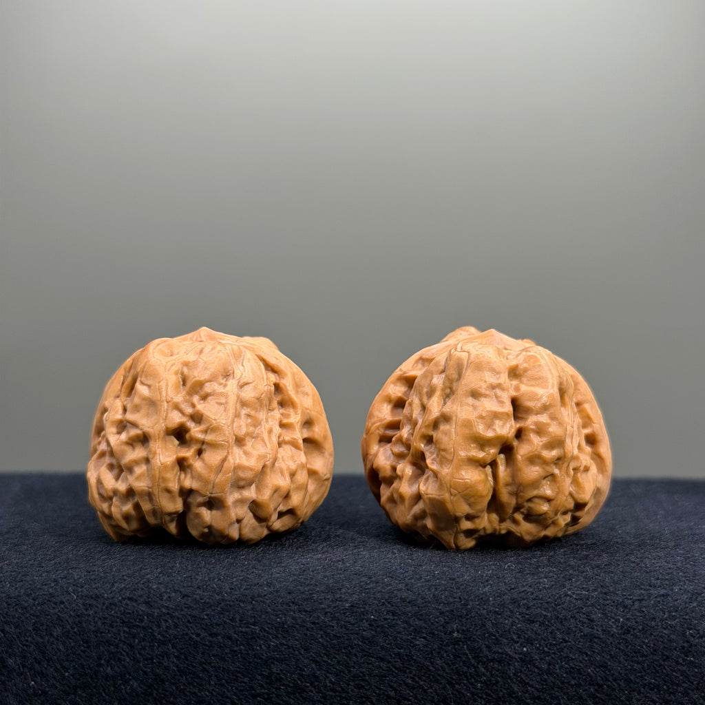 Toad Head Wenwan Walnut · 35mm · Select Ritual