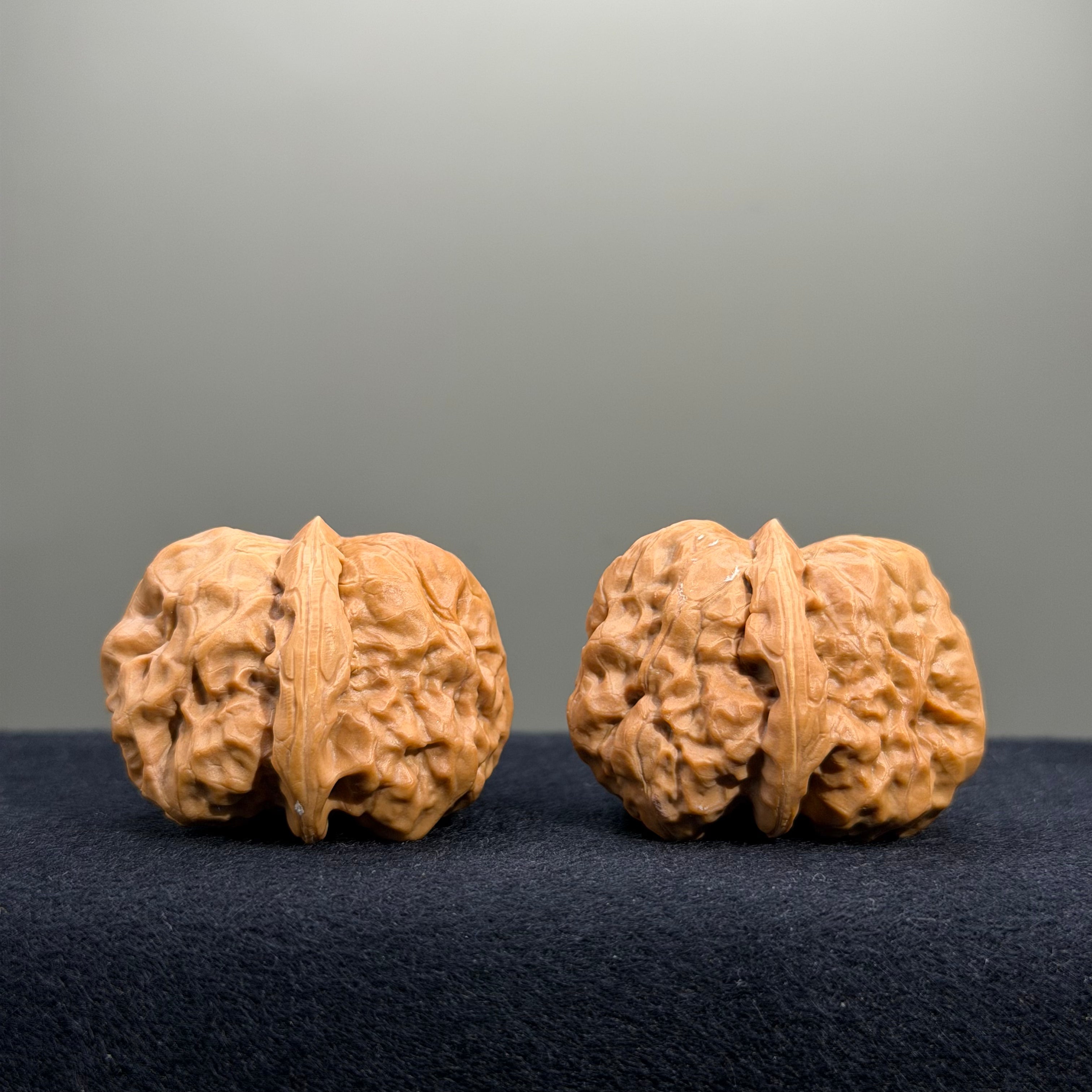 Toad Head Wenwan Walnut · 35mm · Select Ritual