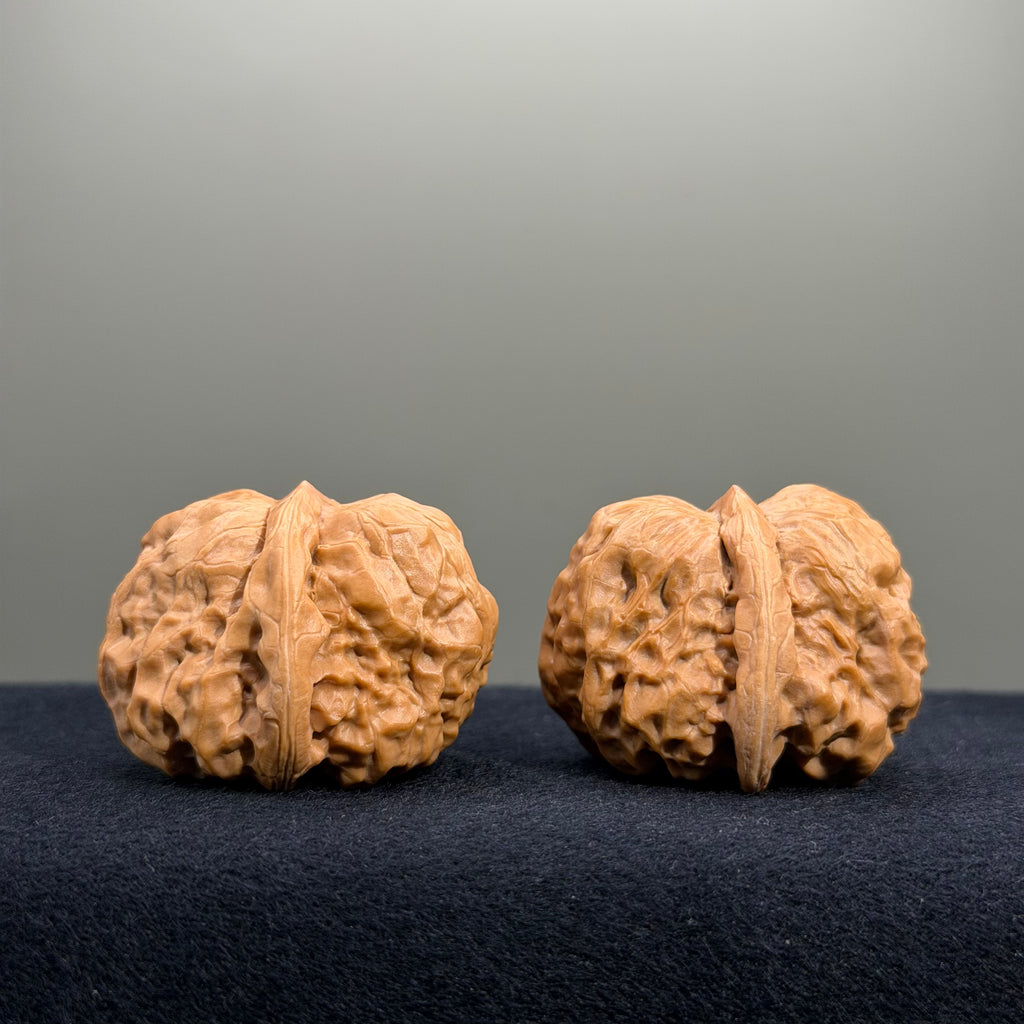Toad Head Wenwan Walnut · 35mm · Select Ritual