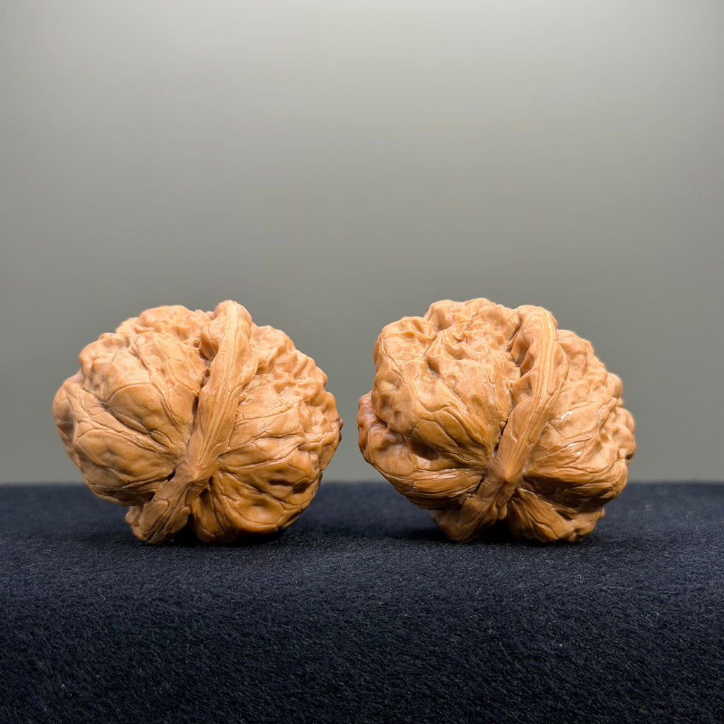 Toad Head Wenwan Walnut · 35mm · Select Ritual