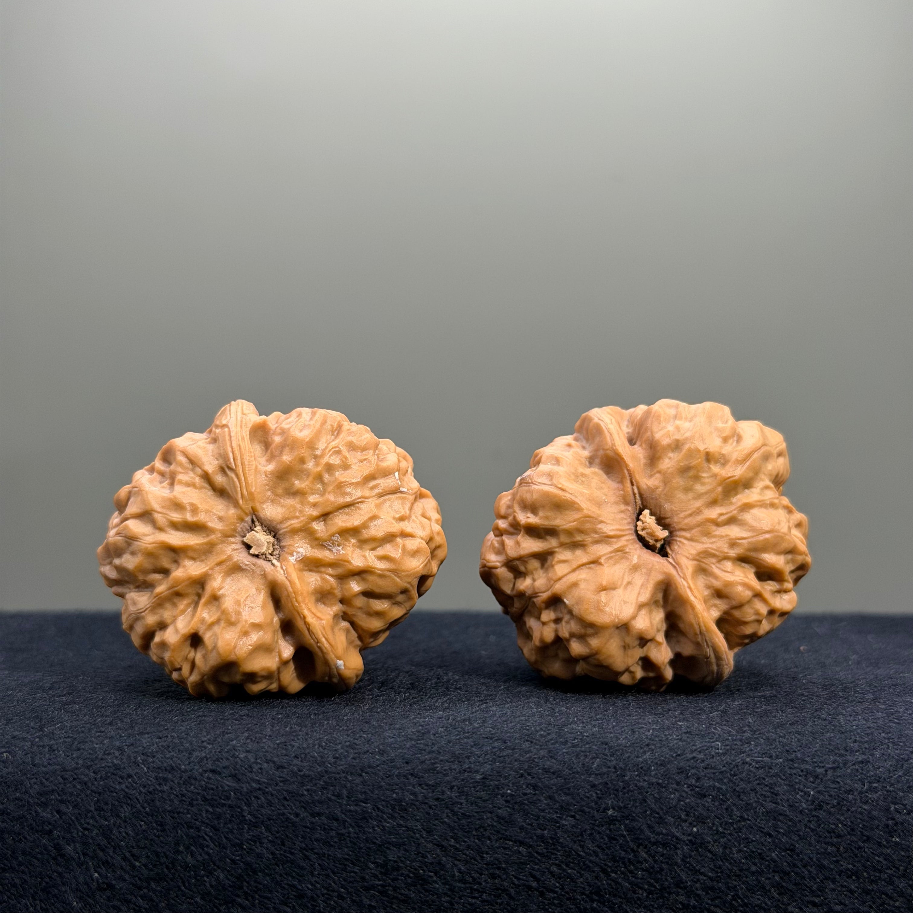 Toad Head Wenwan Walnut · 35mm · Select Ritual
