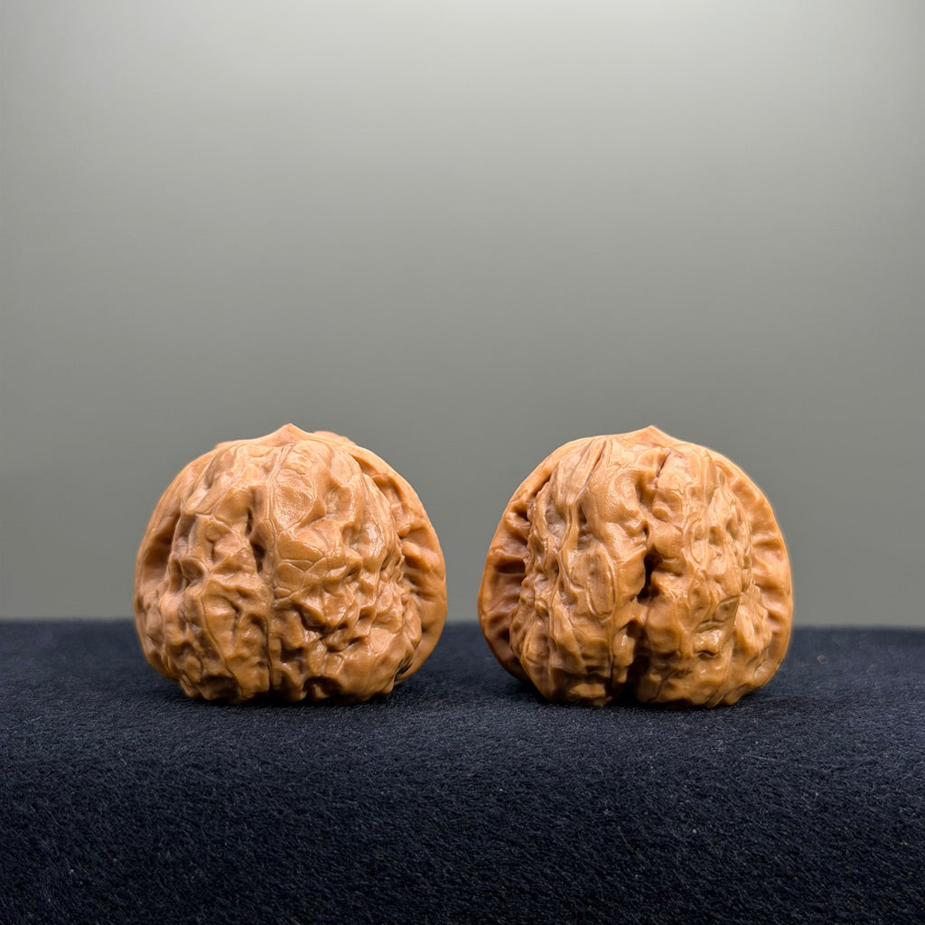 Toad Head Wenwan Walnut · 35mm · Entry Ritual
