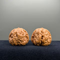 Toad Head Wenwan Walnut · 35mm · Entry Ritual