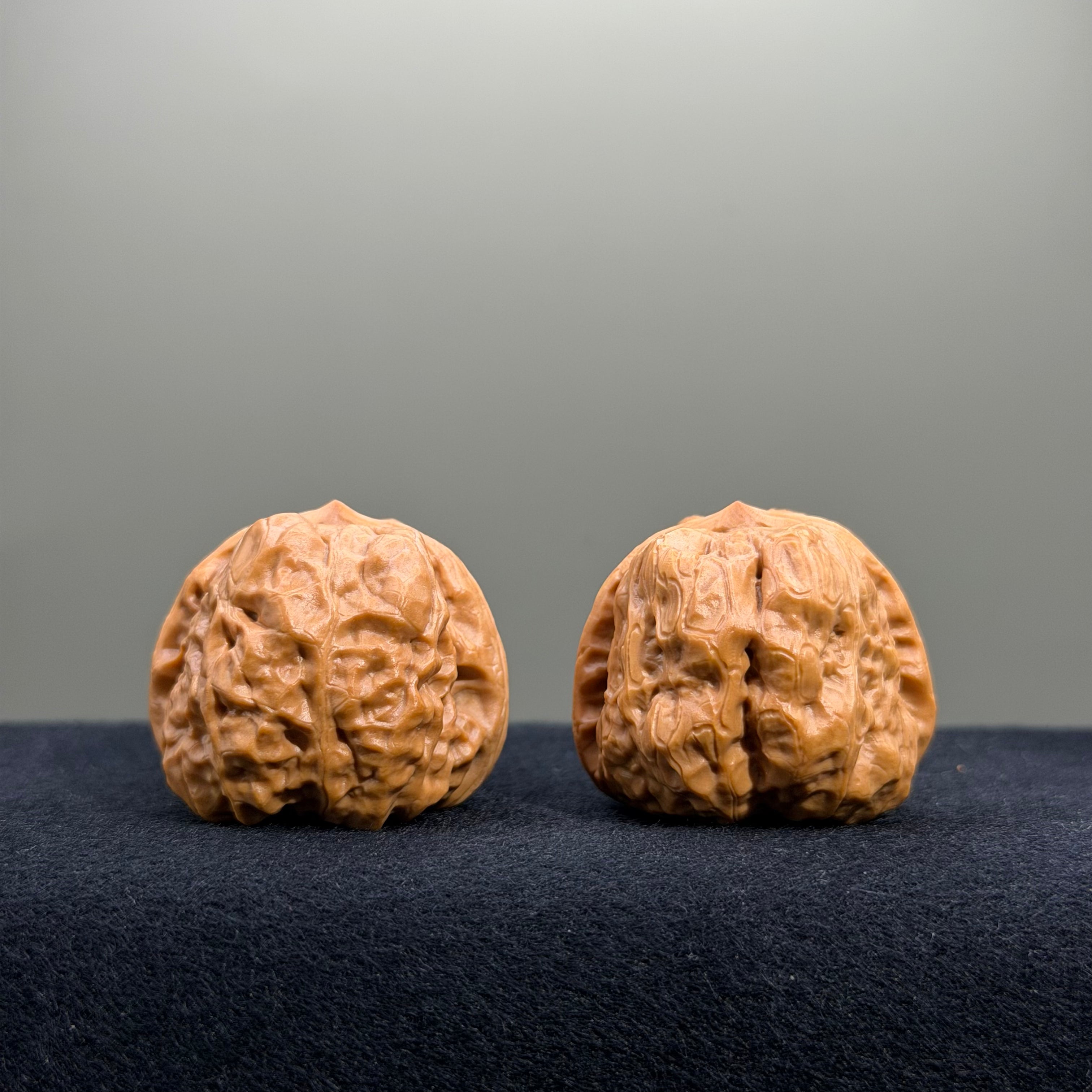 Toad Head Wenwan Walnut · 35mm · Entry Ritual