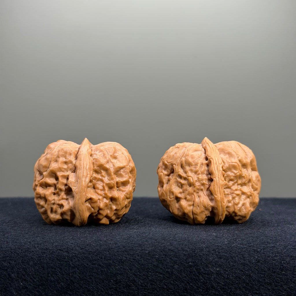 Toad Head Wenwan Walnut · 35mm · Entry Ritual