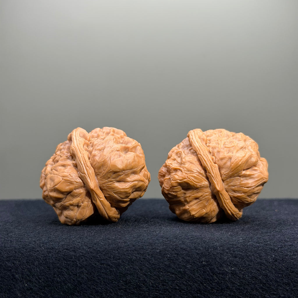 Toad Head Wenwan Walnut · 35mm · Entry Ritual