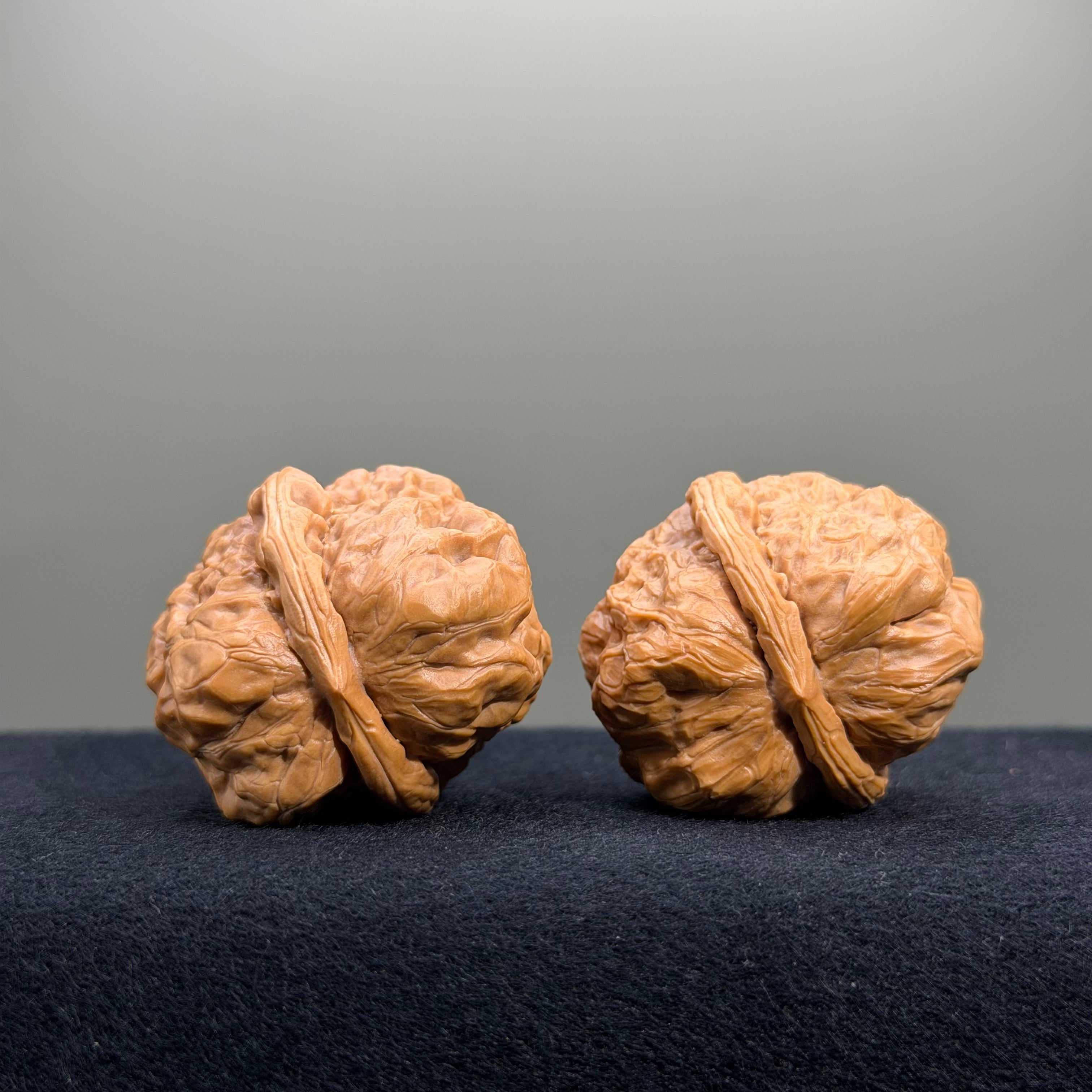 Toad Head Wenwan Walnut · 35mm · Entry Ritual