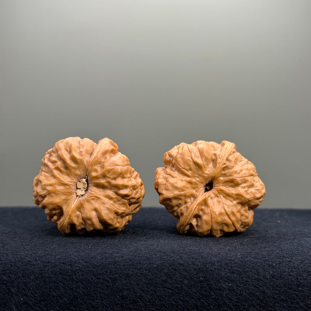Toad Head Wenwan Walnut · 35mm · Entry Ritual