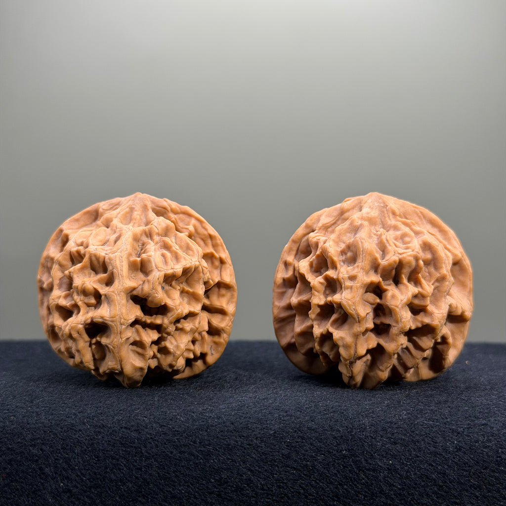 Emperor Wenwan Walnut · 43mm · Natural · Entry Ritual