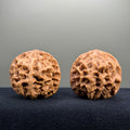 Emperor Wenwan Walnut · 43mm · Natural · Entry Ritual