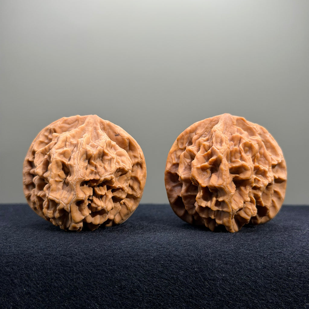 Emperor Wenwan Walnut · 43mm · Natural · Entry Ritual