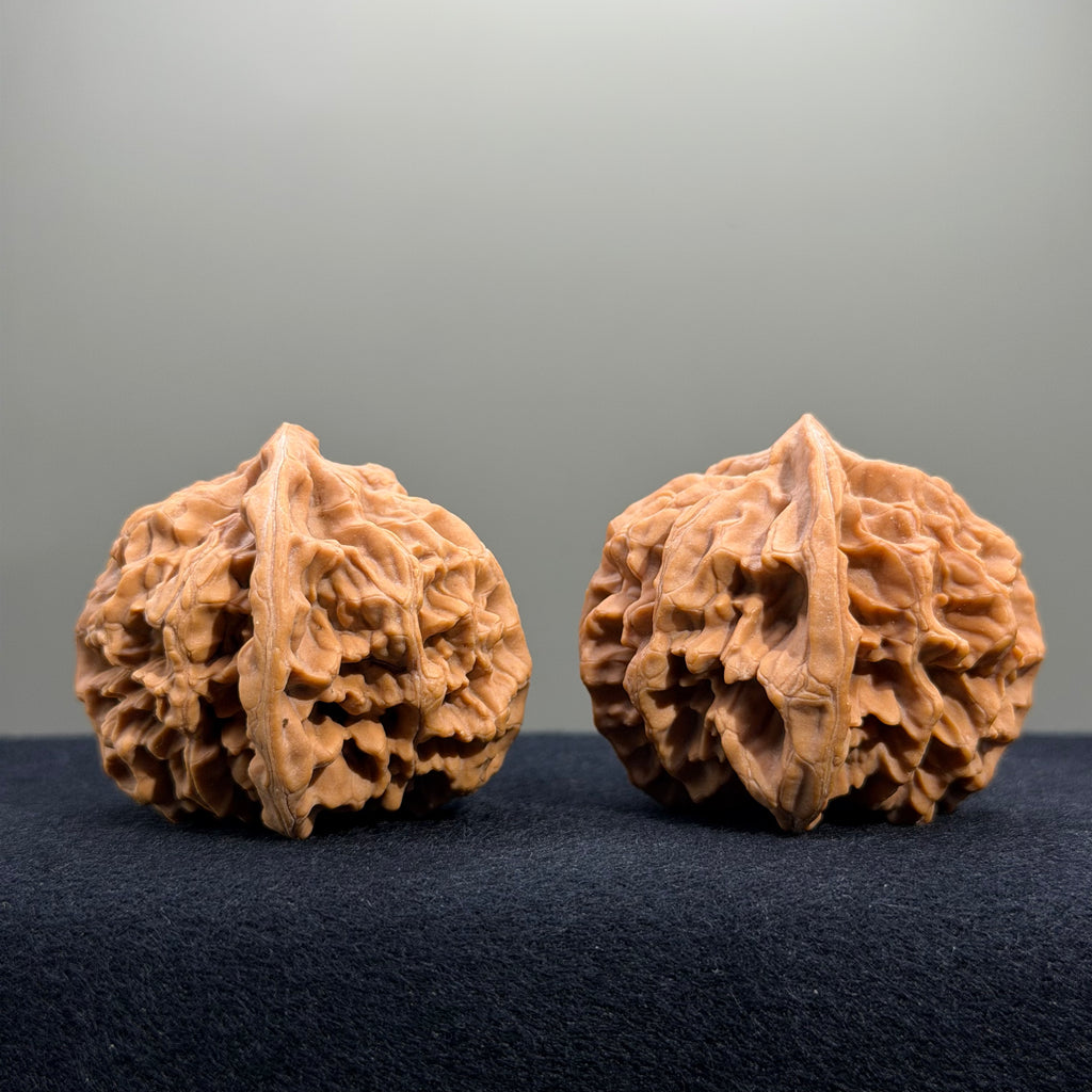 Emperor Wenwan Walnut · 43mm · Natural · Entry Ritual