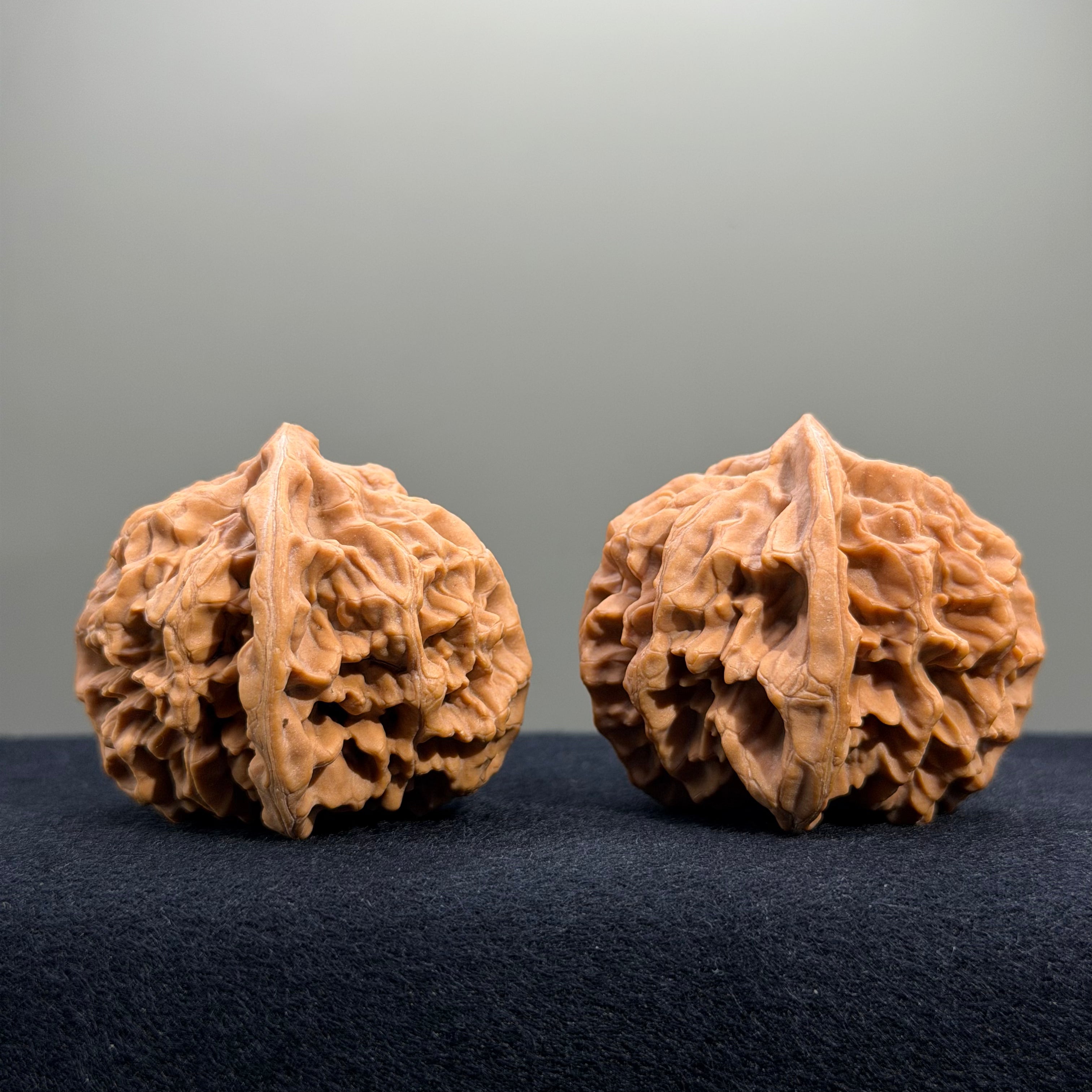 Emperor Wenwan Walnut · 43mm · Natural · Entry Ritual