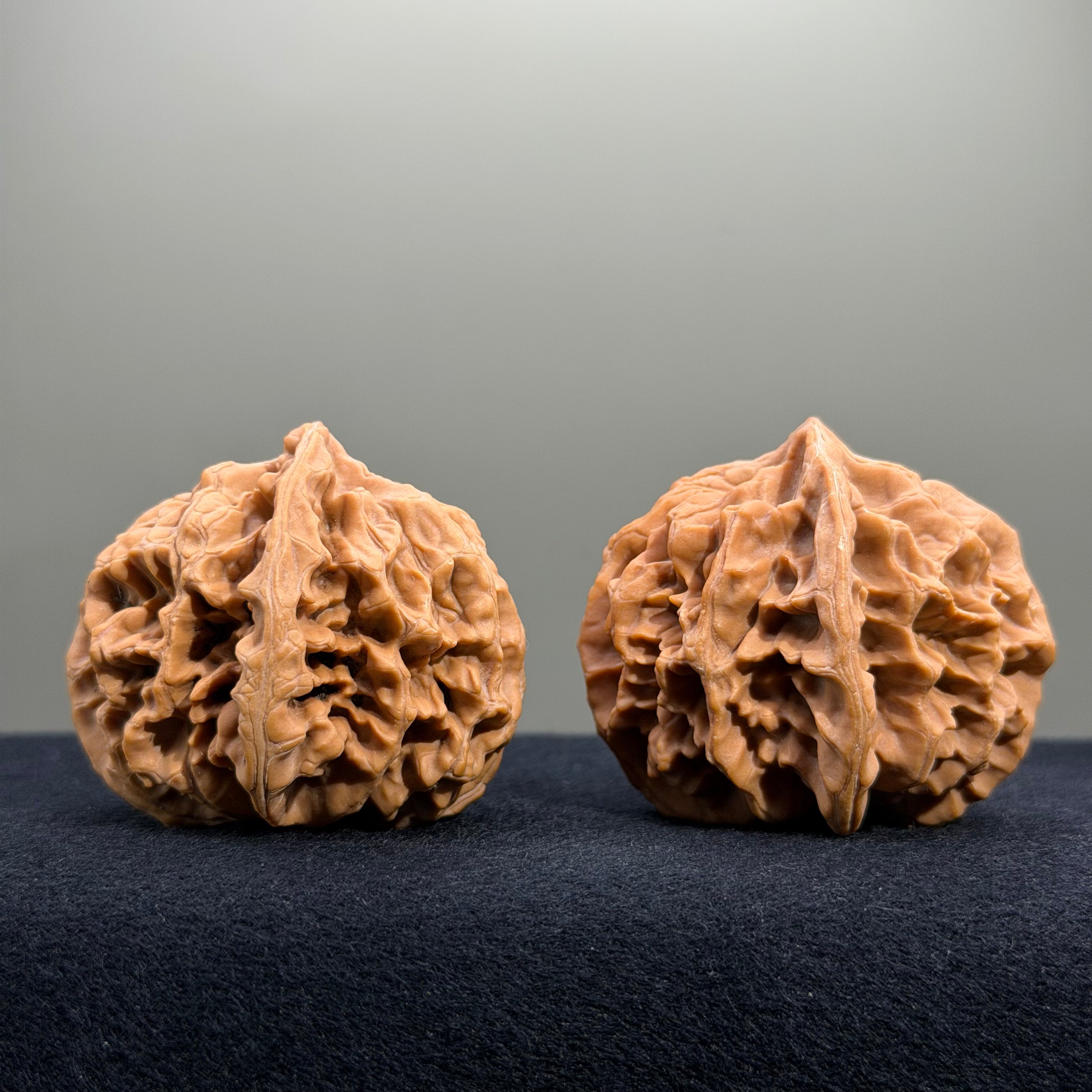 Emperor Wenwan Walnut · 43mm · Natural · Entry Ritual