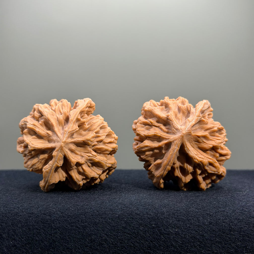 Emperor Wenwan Walnut · 43mm · Natural · Entry Ritual