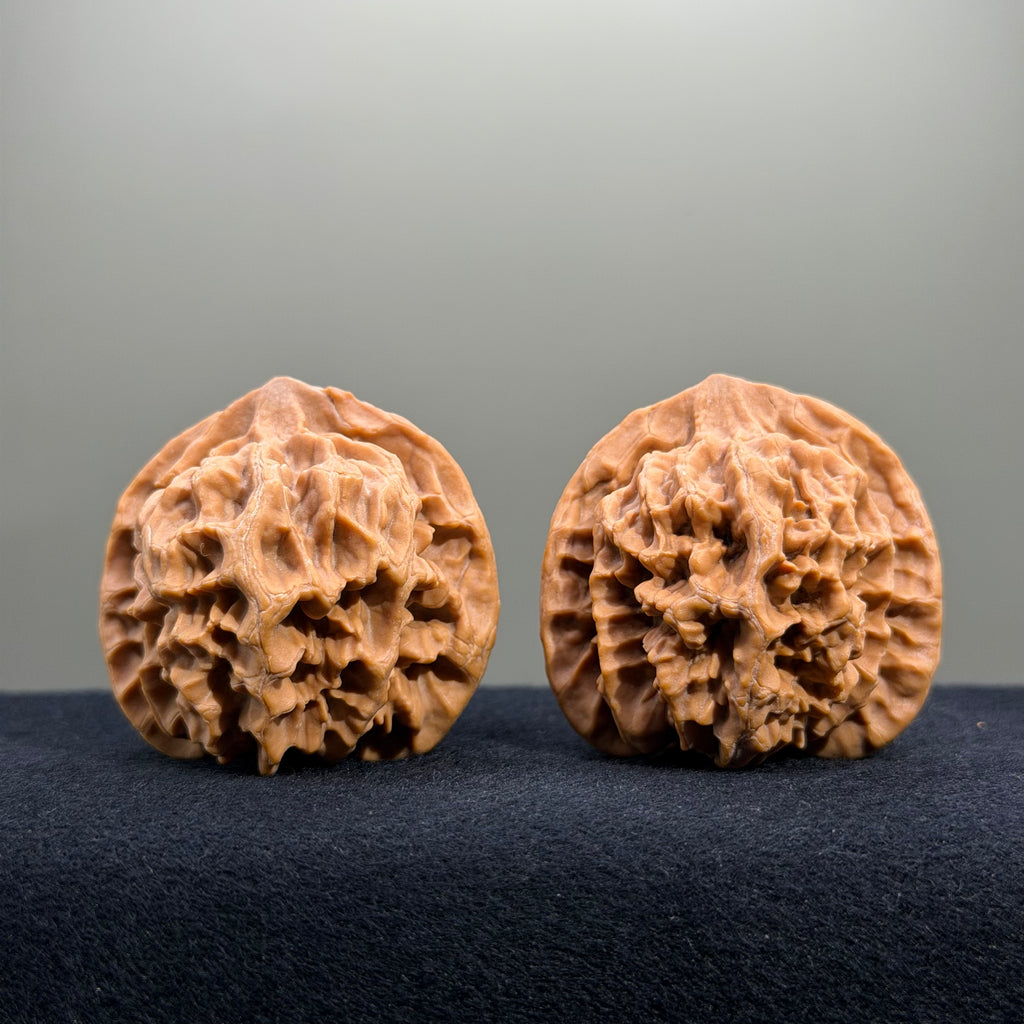 Emperor Wenwan Walnut · 42mm · Natural · Select Ritual